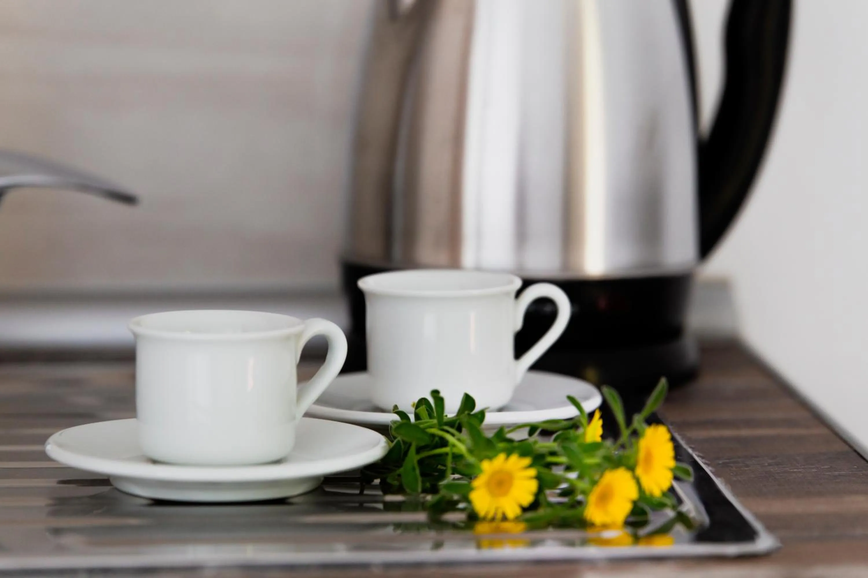 Roditsa Patritsia Apartments