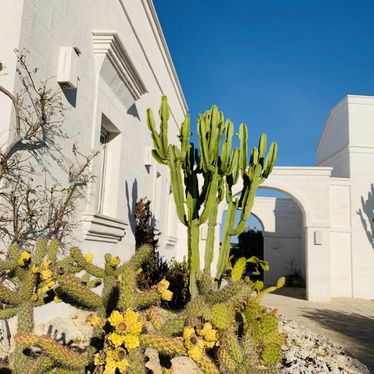 Garden in Masseria San Francesco