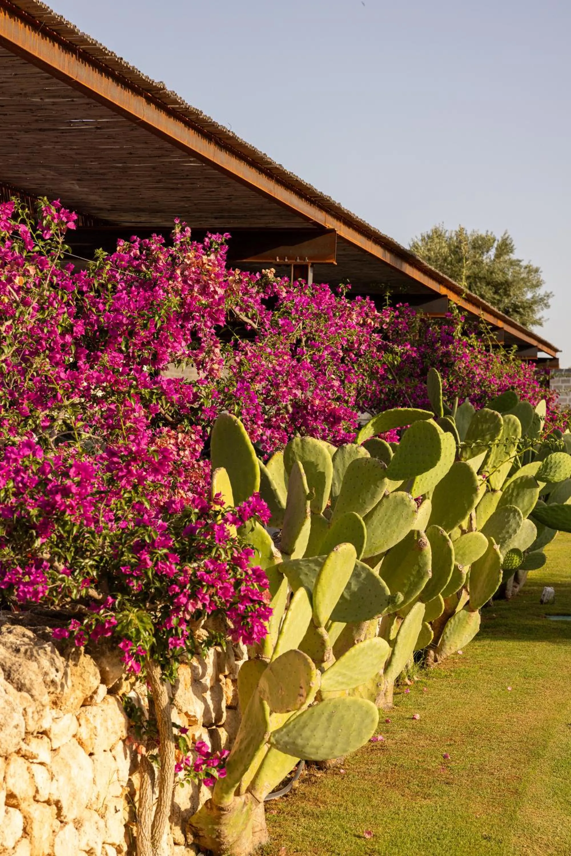 Parking in Masseria San Francesco