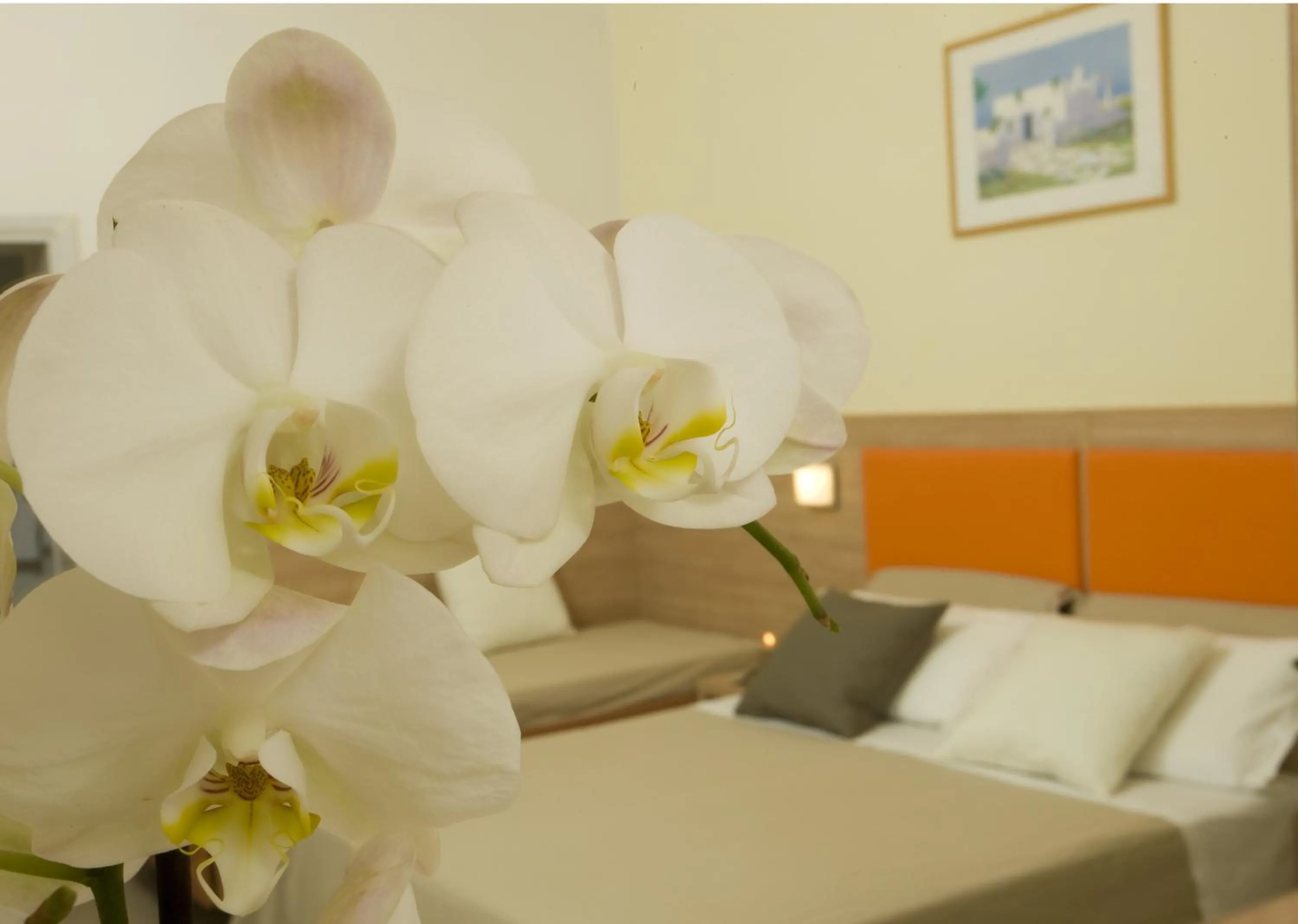 Decorative detail in Hotel Consuelo