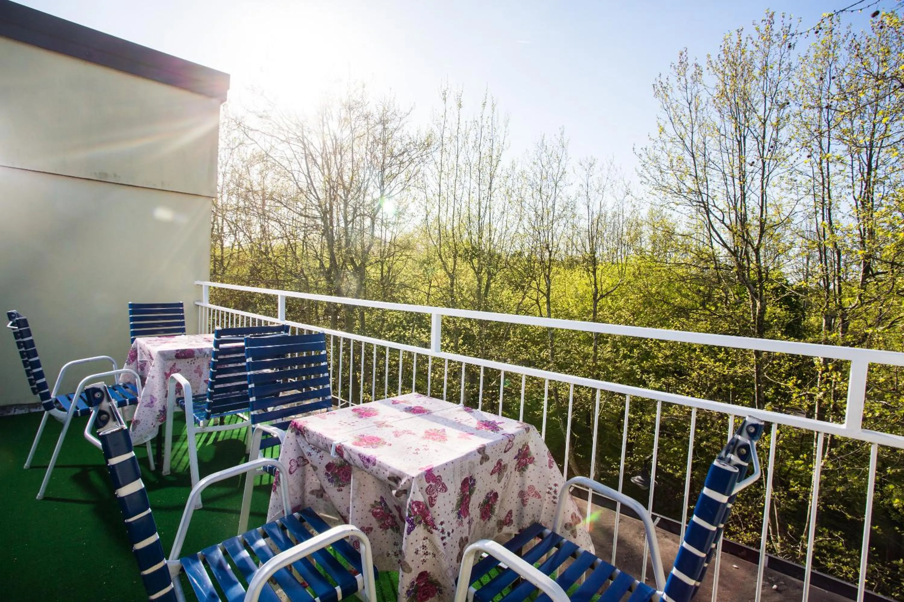 Day in Hotel Majorca