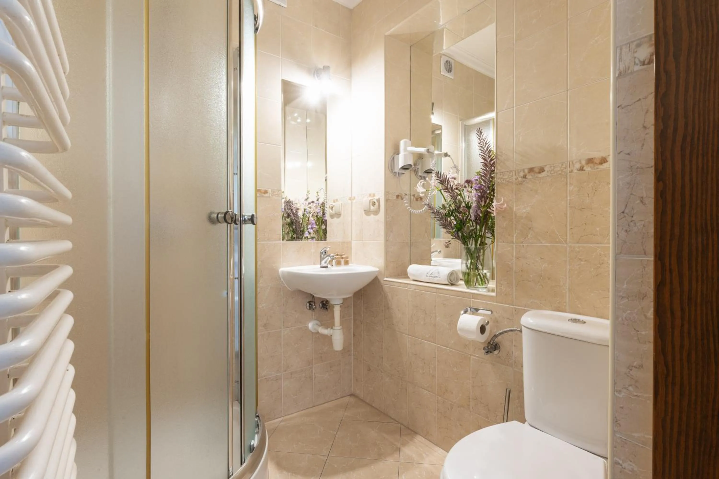 Shower in Wilcznik 10