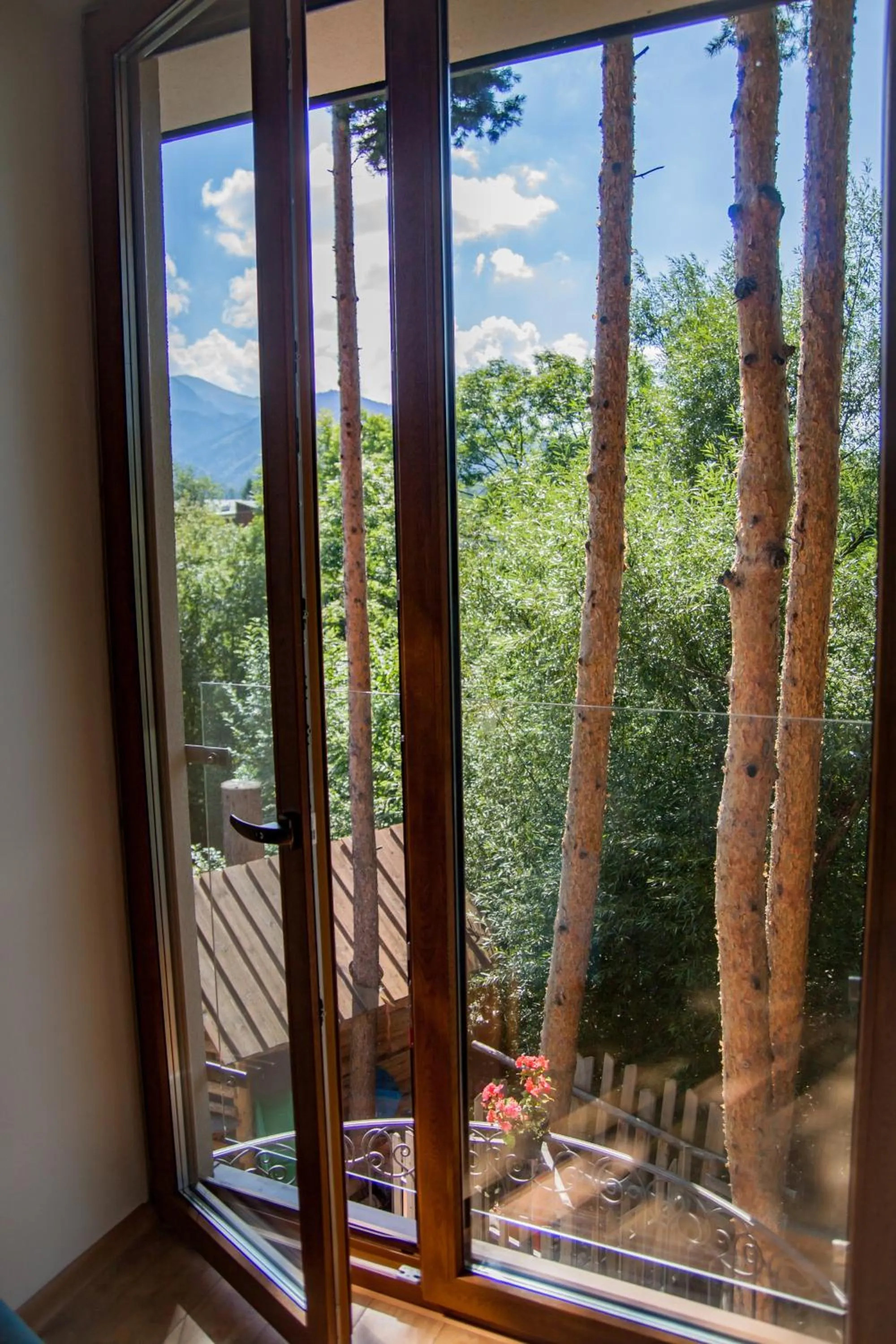 Mountain view in Wilcznik 10