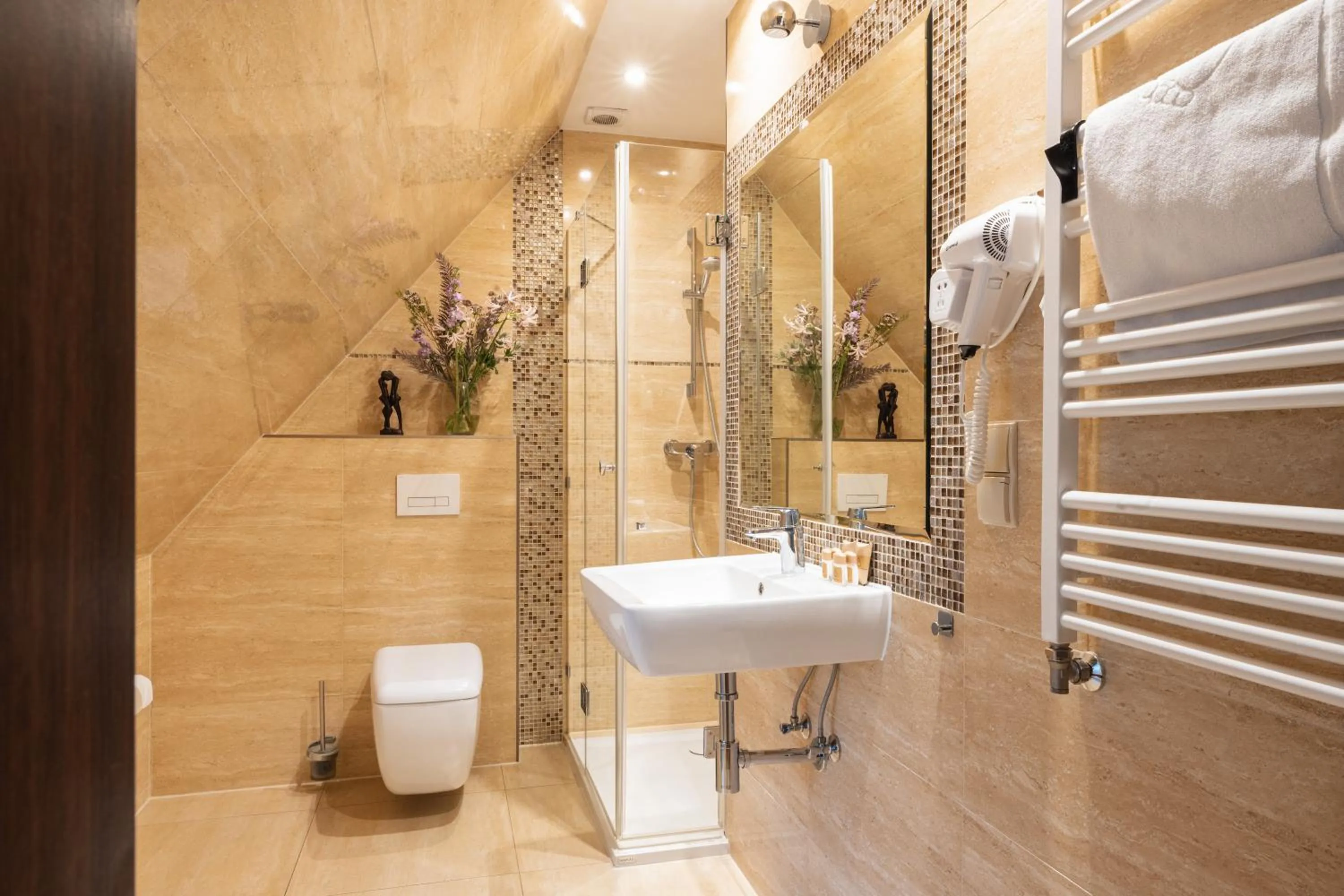 Shower in Wilcznik 10