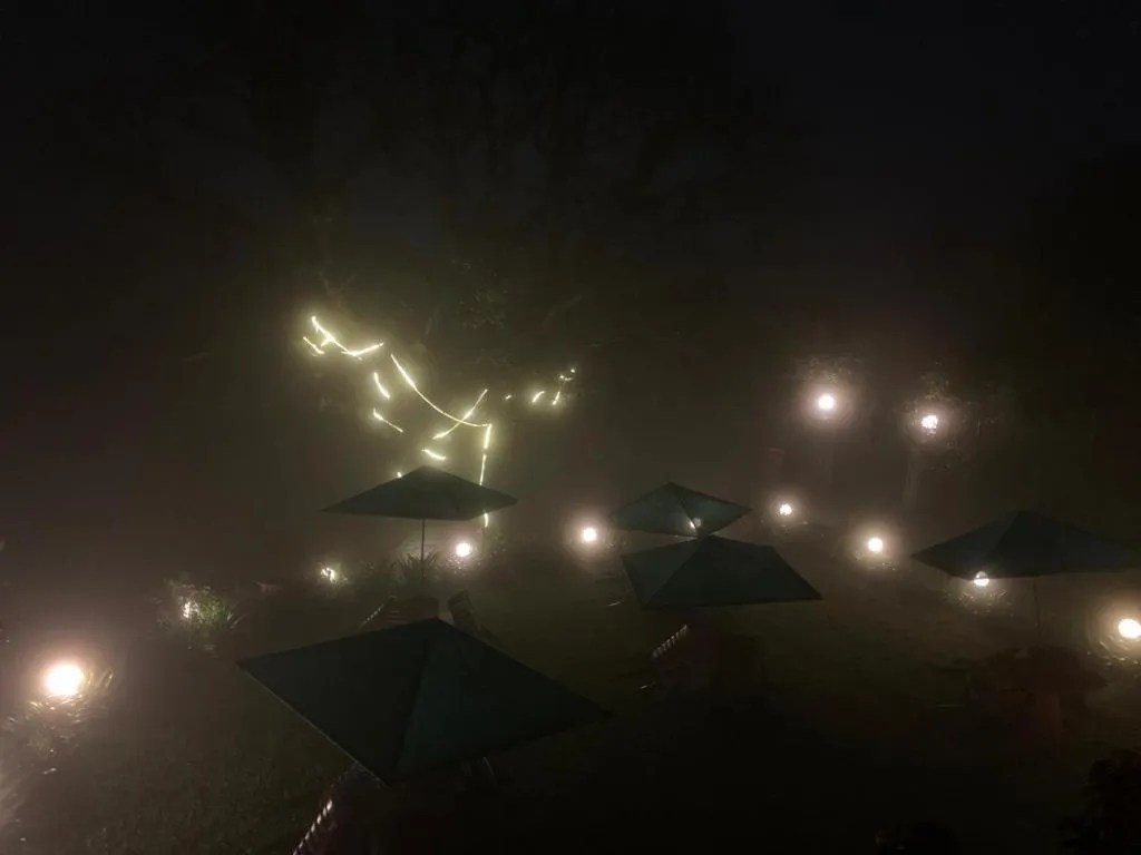 Honeywood Holiday Homes