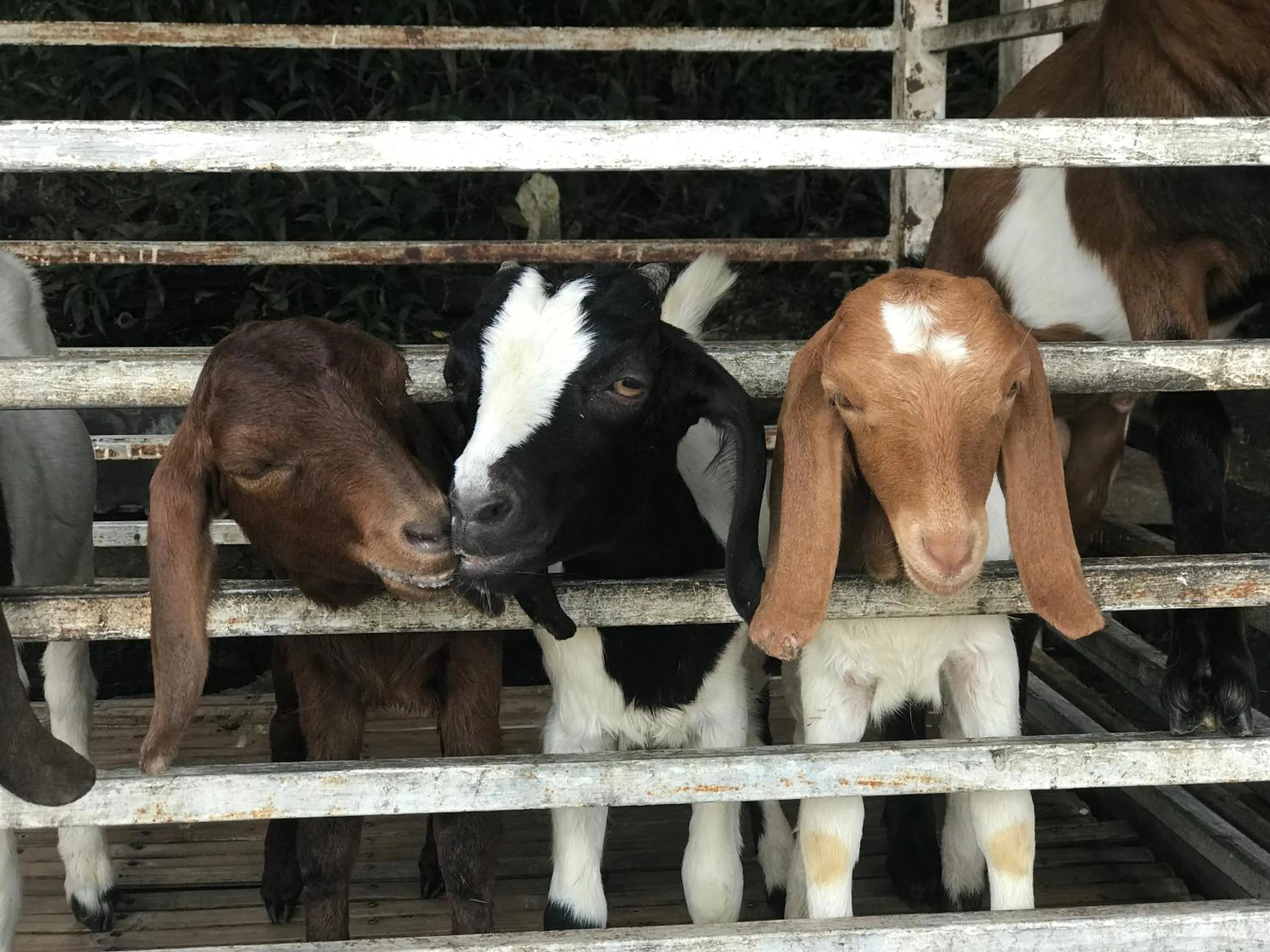Nearby landmark in Hua Hin Home Hill