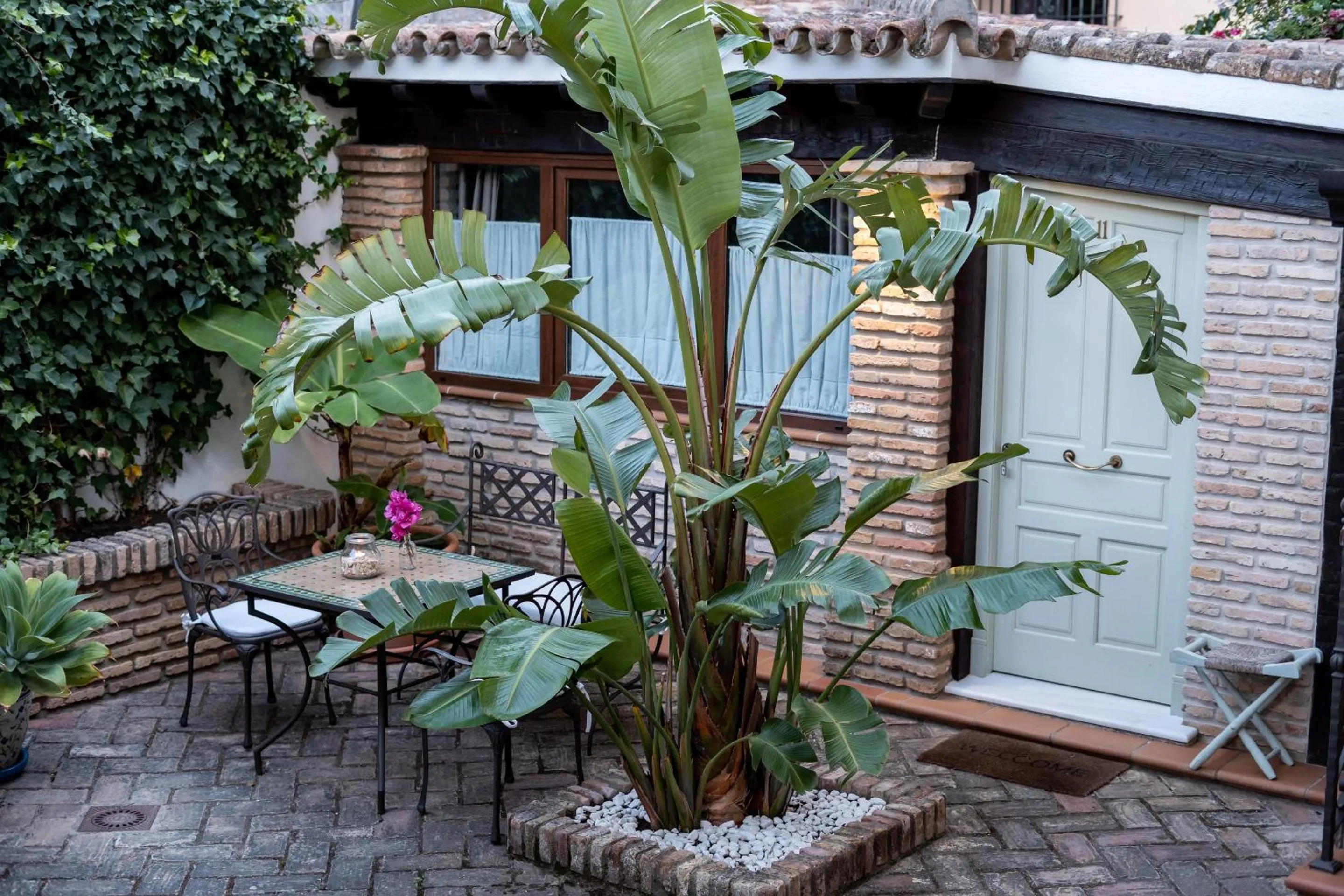 Patio in Hotel Azalea Playa