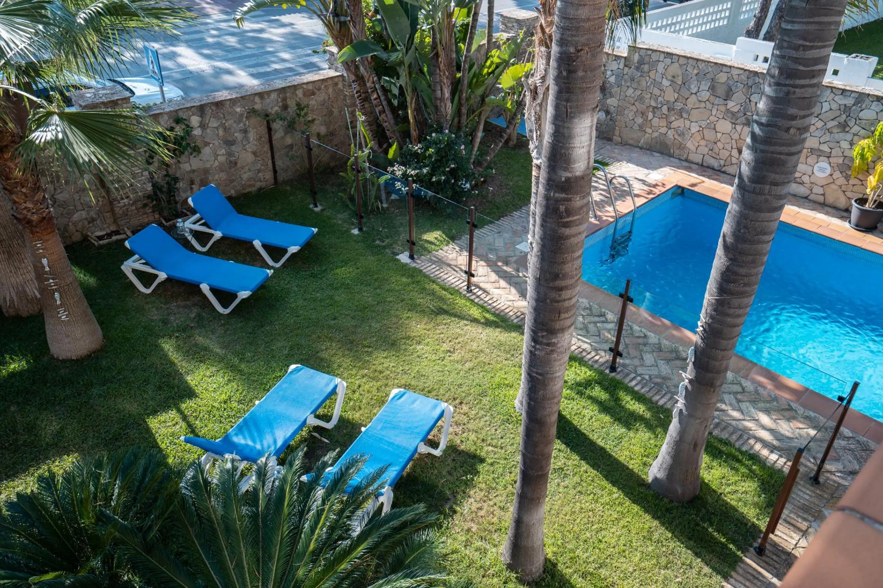 Garden in Hotel Azalea Playa