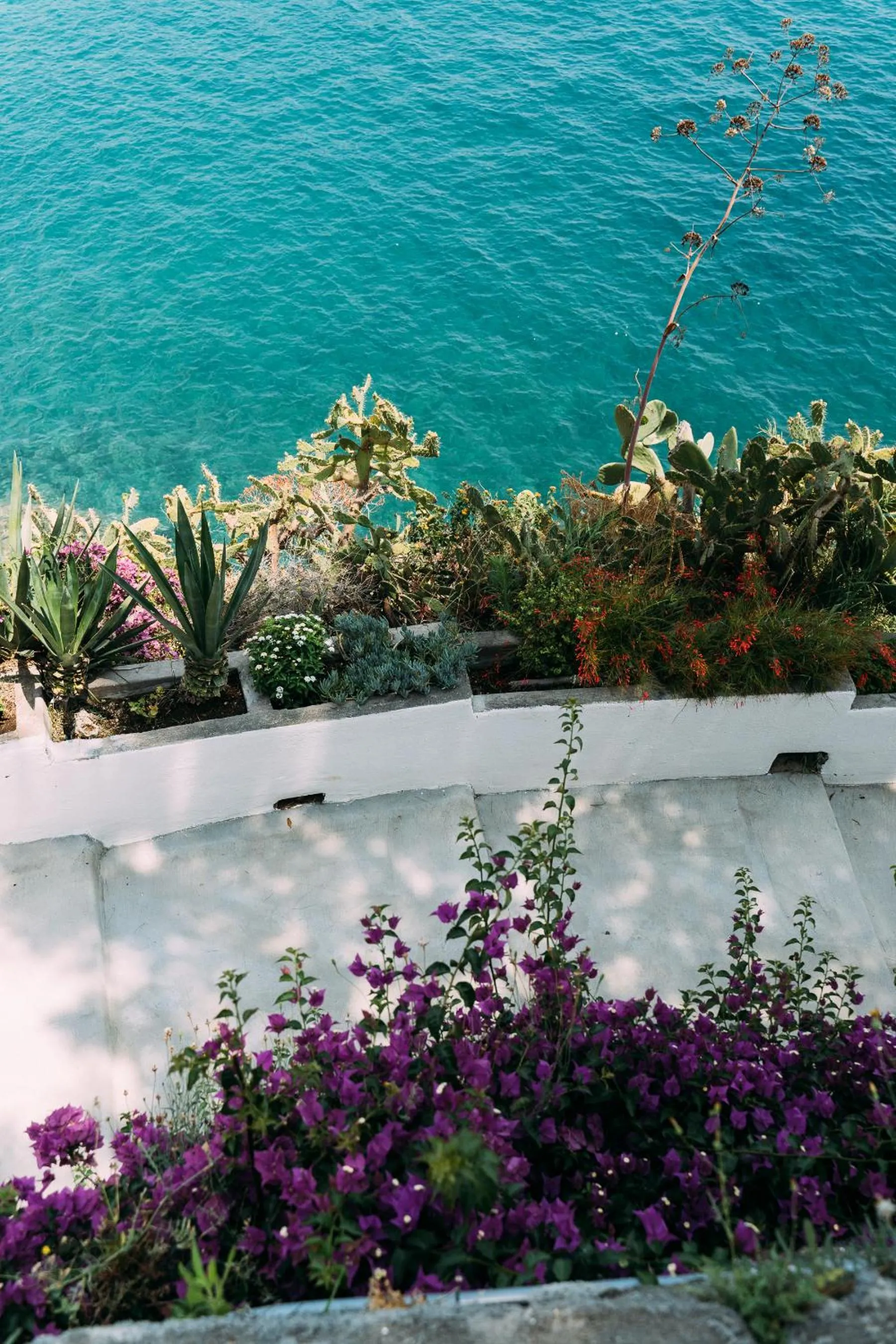 Natural landscape in Miramare Sea Resort & Spa