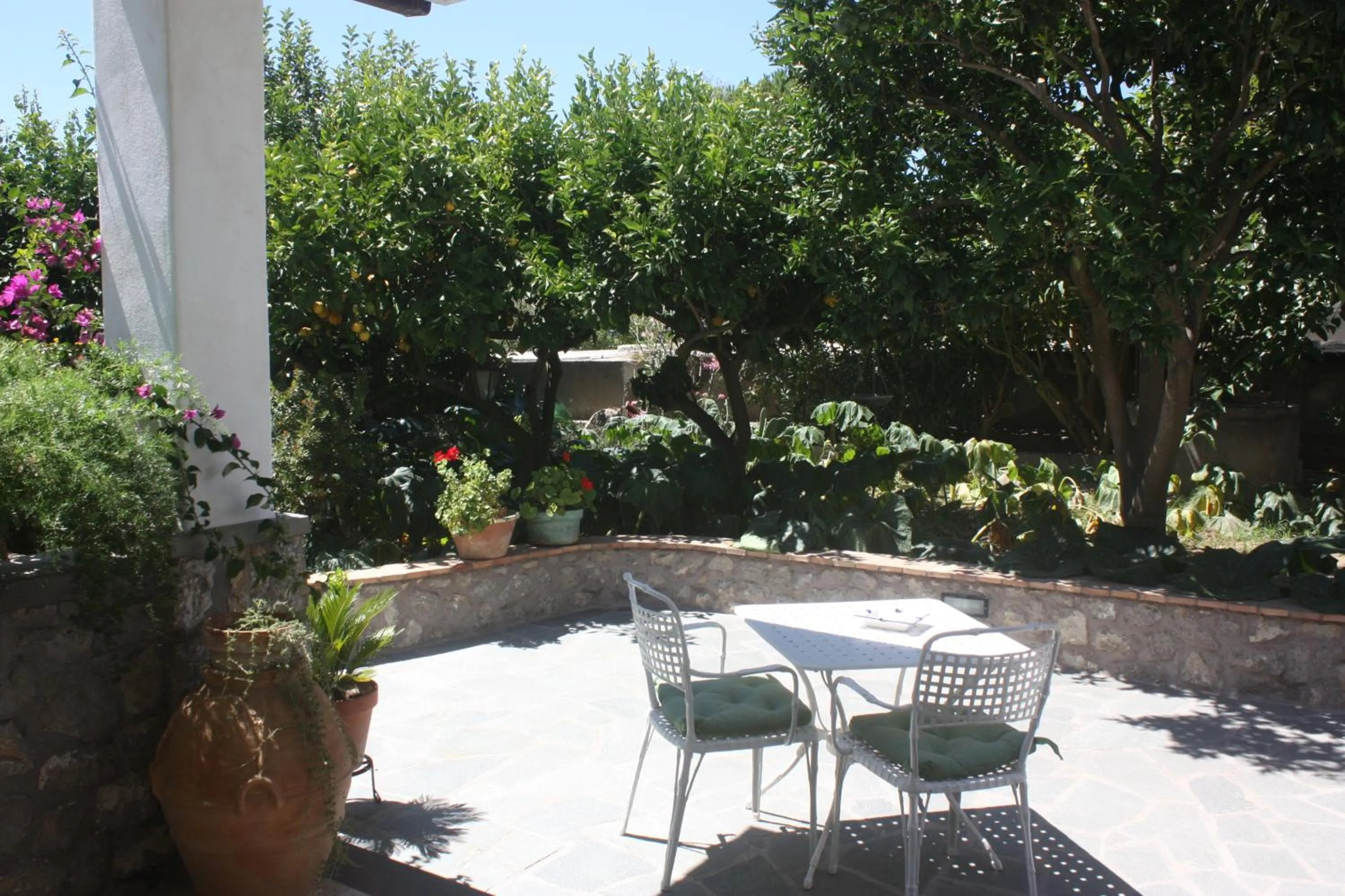 Garden in Casetta Minghitto Relaxing rooms in Capri