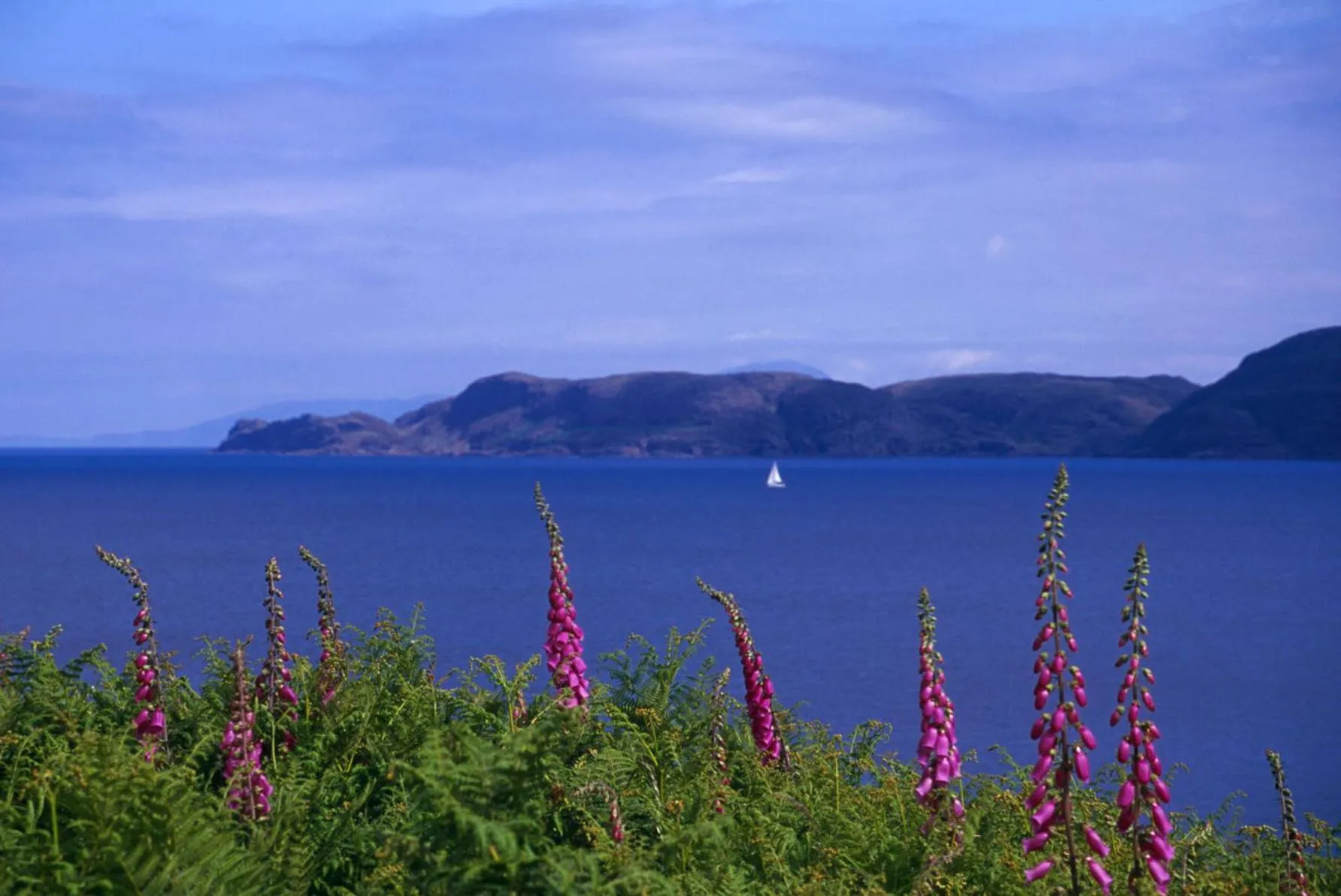 Sea view in Glengorm Castle