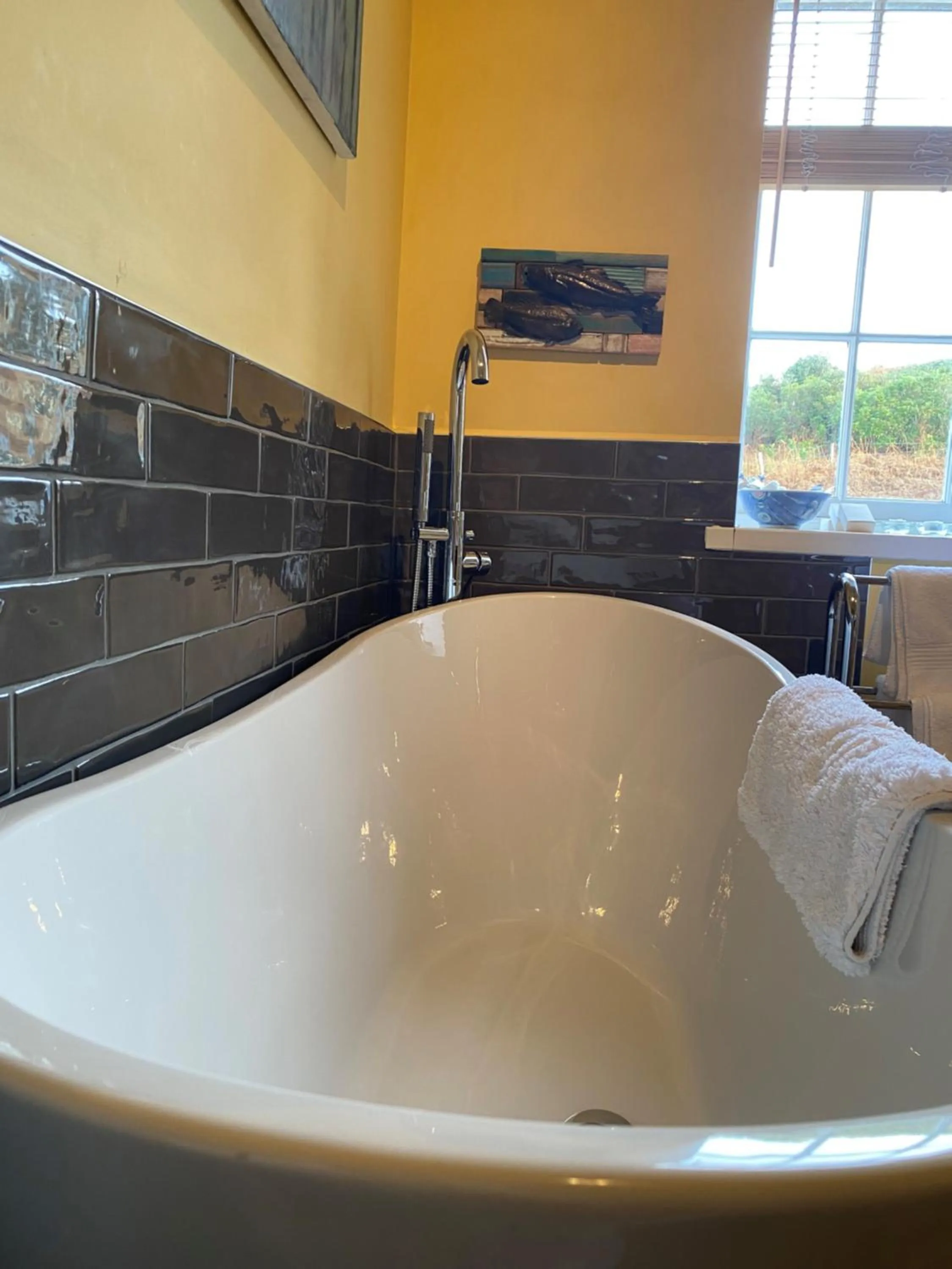 Bath in Glengorm Castle