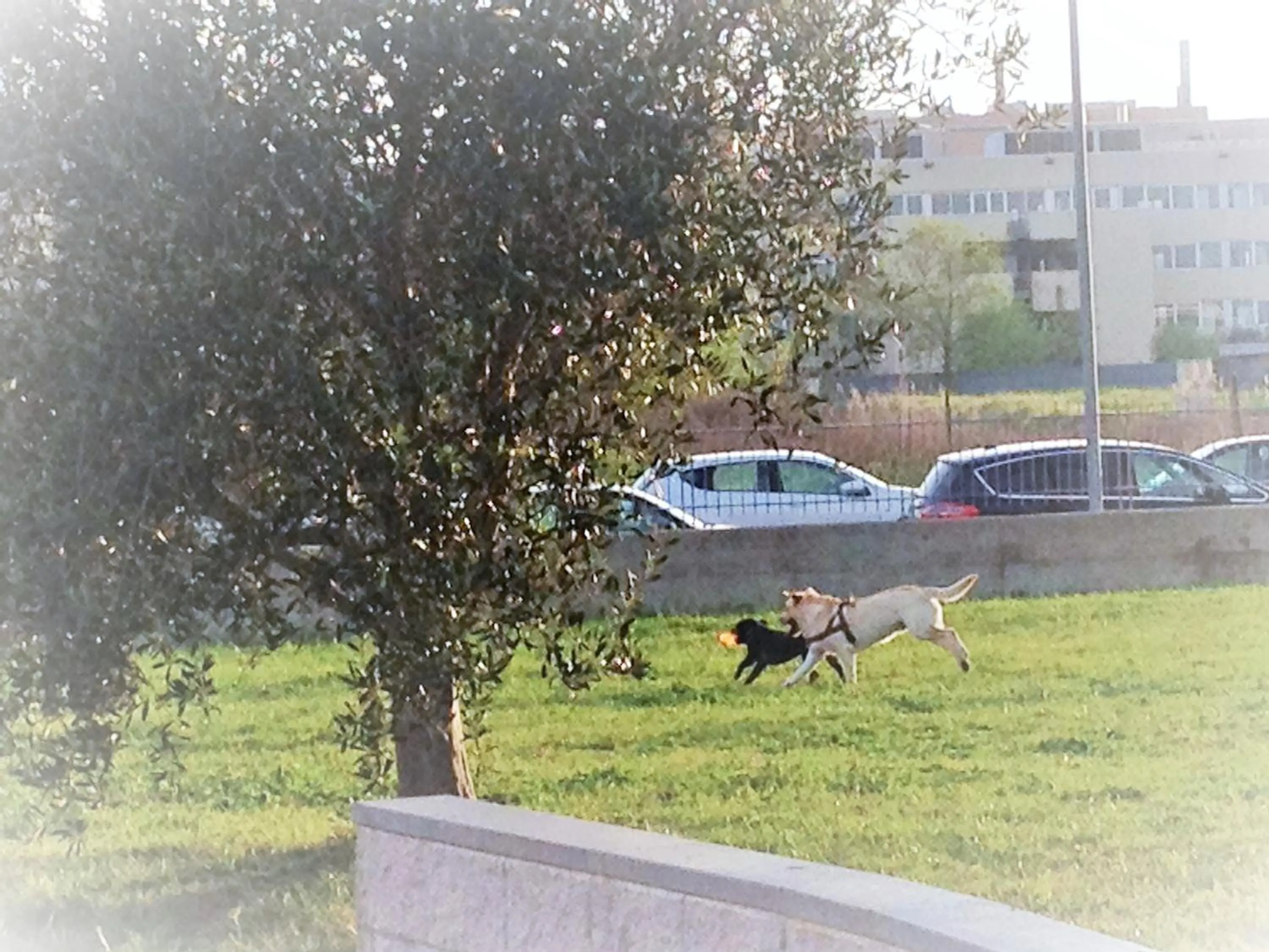 Neighbourhood in Domus al Parco Guest House