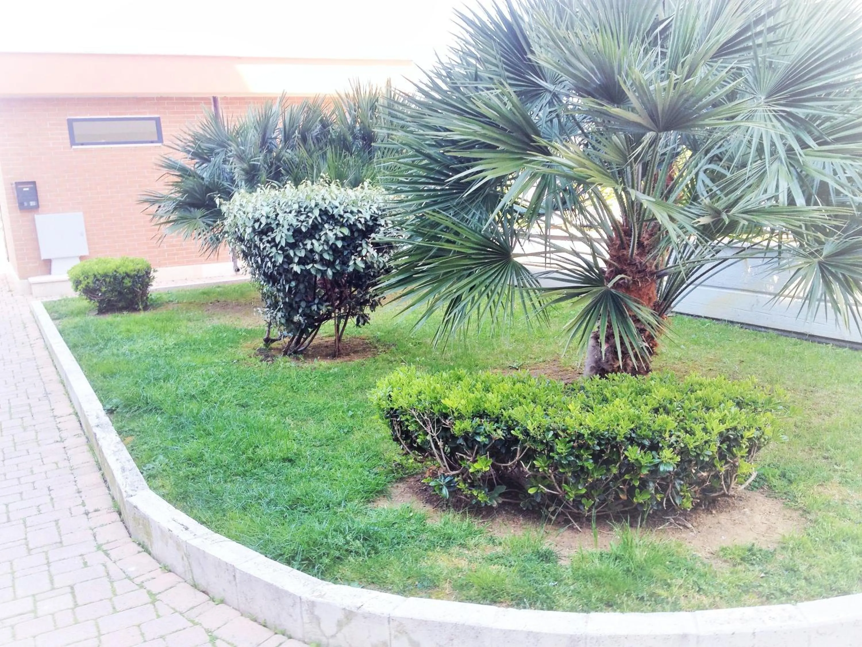 Garden in Domus al Parco Guest House