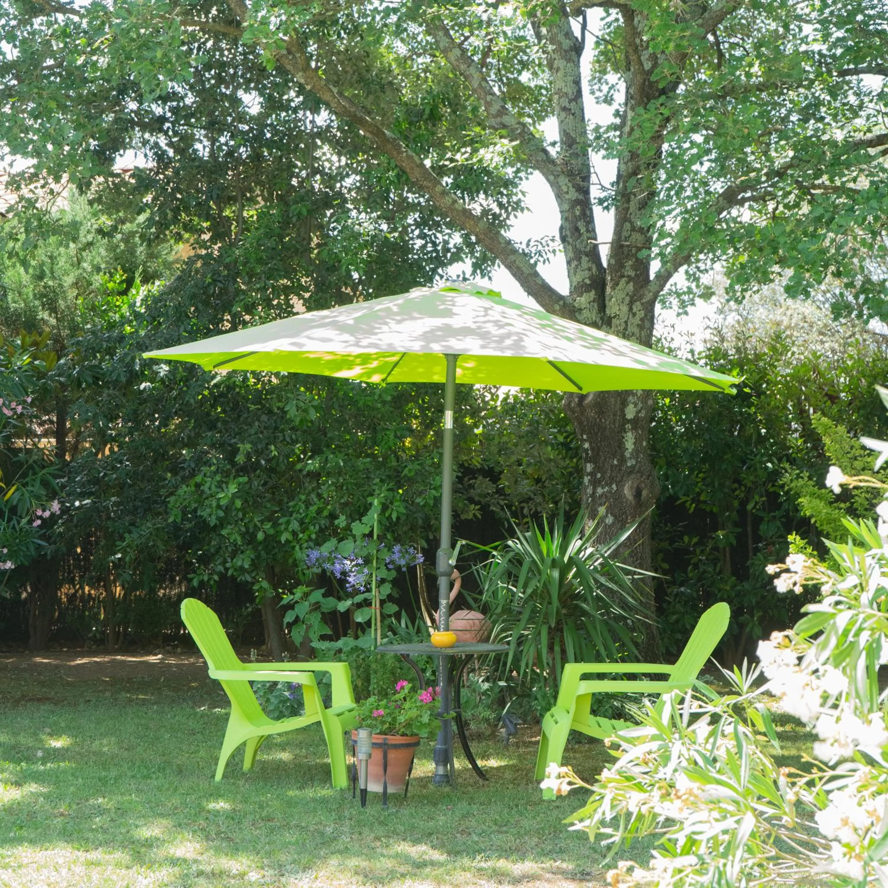 Garden view in Chambre d'Hôte Couguiolet - avec piscine