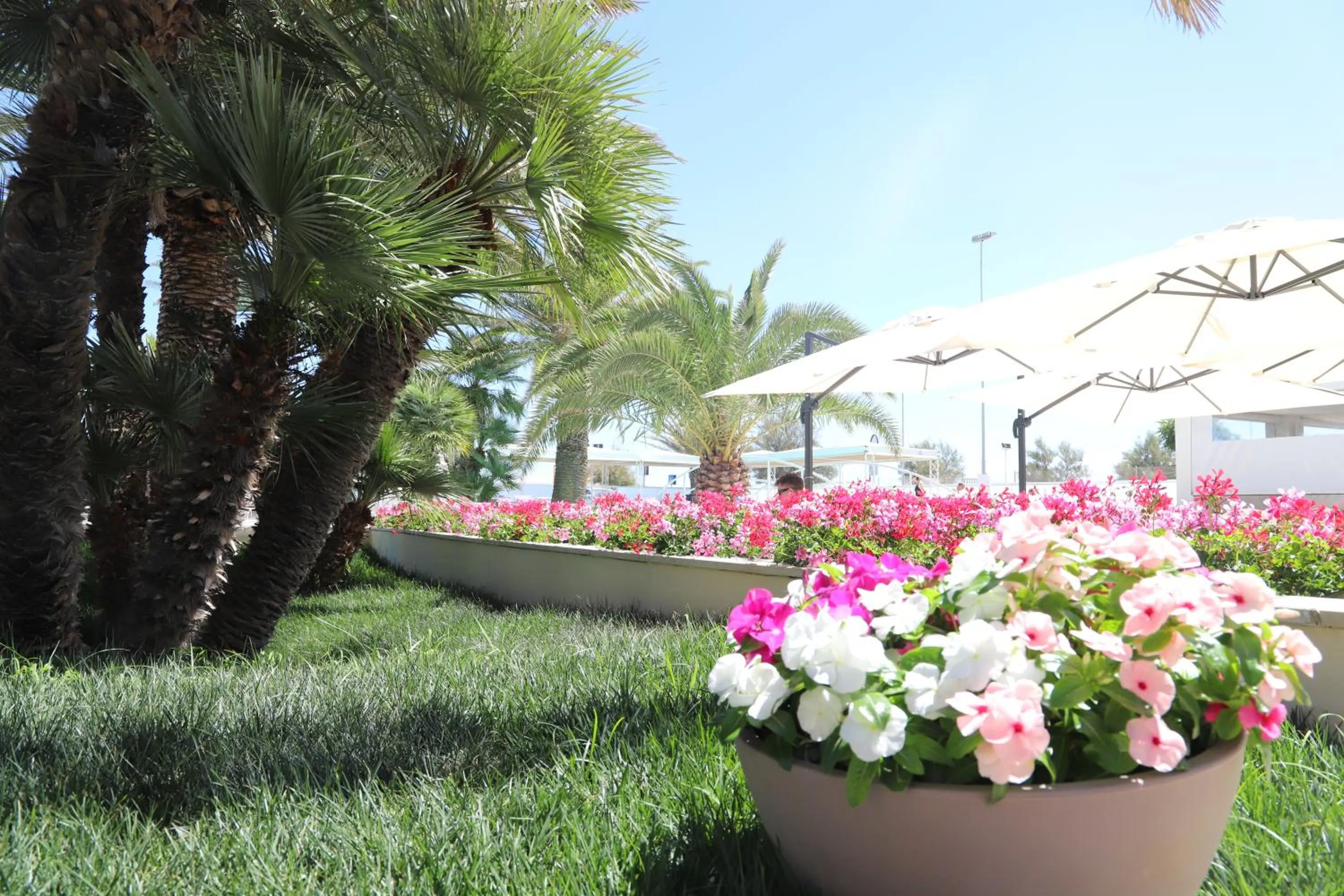 Swimming pool in Hotel Metropol