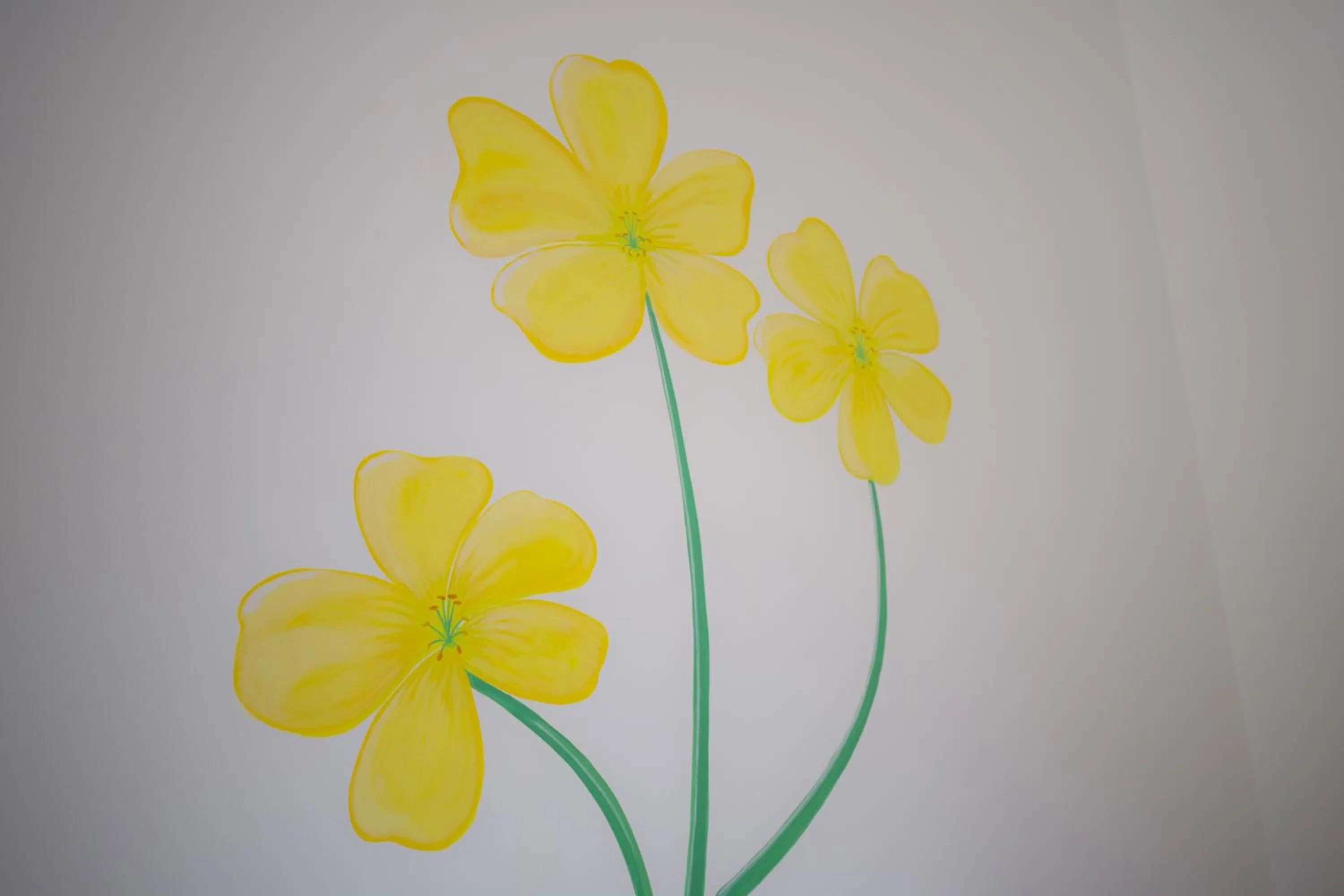 B&B Fiori Gialli Caucana