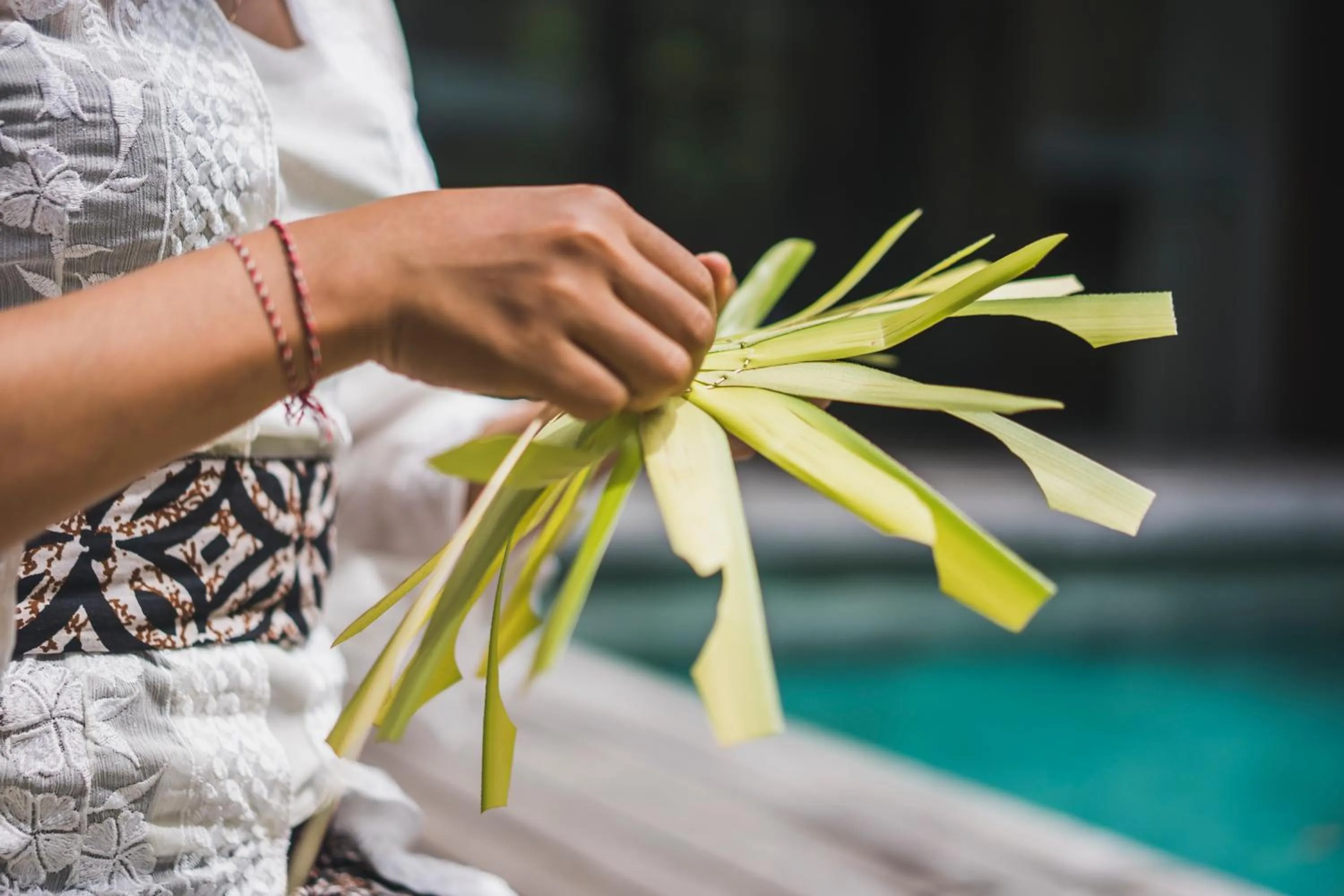 Day in iSuite by Ekosistem