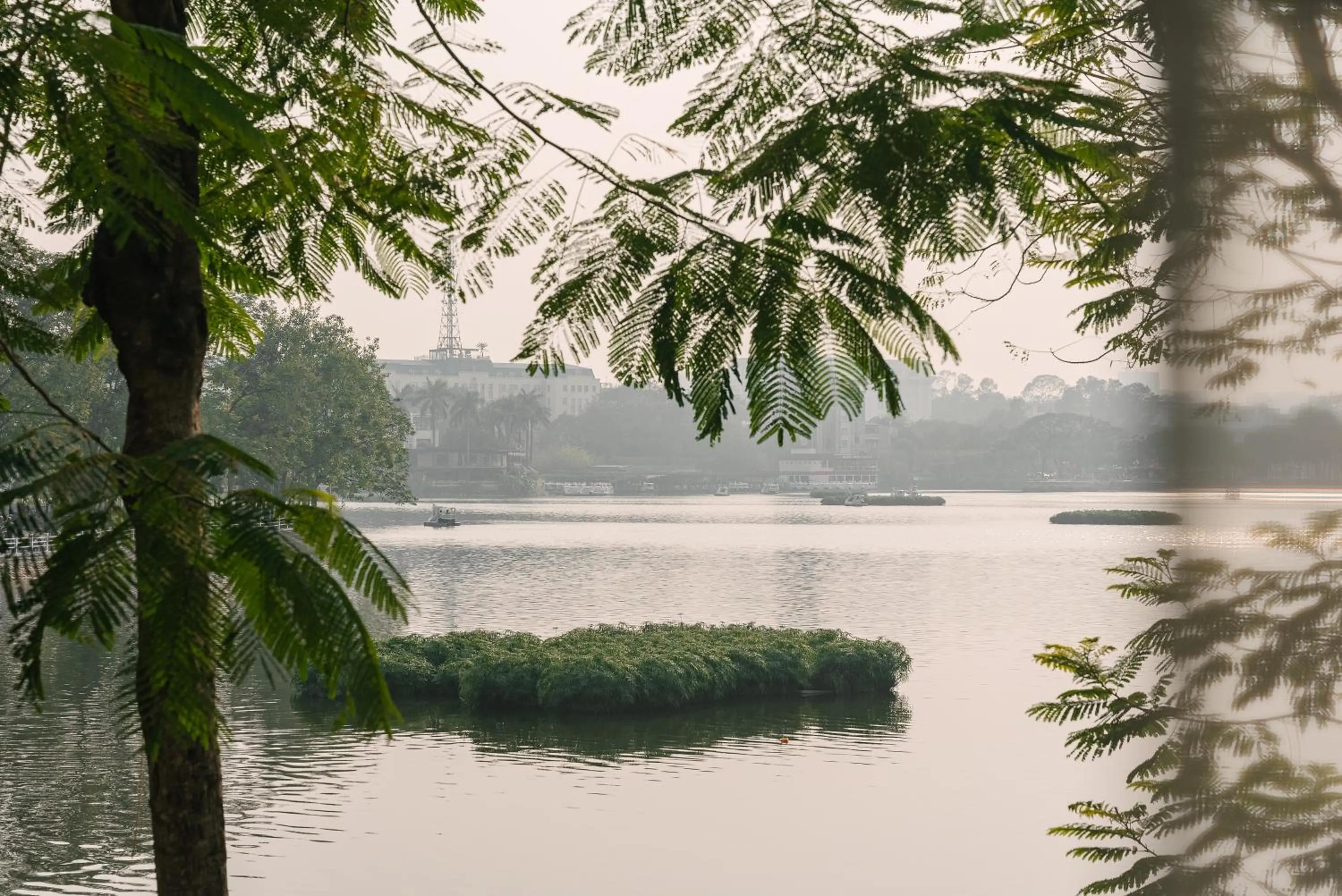 Natural landscape in An Nguyen Lakeside Residence