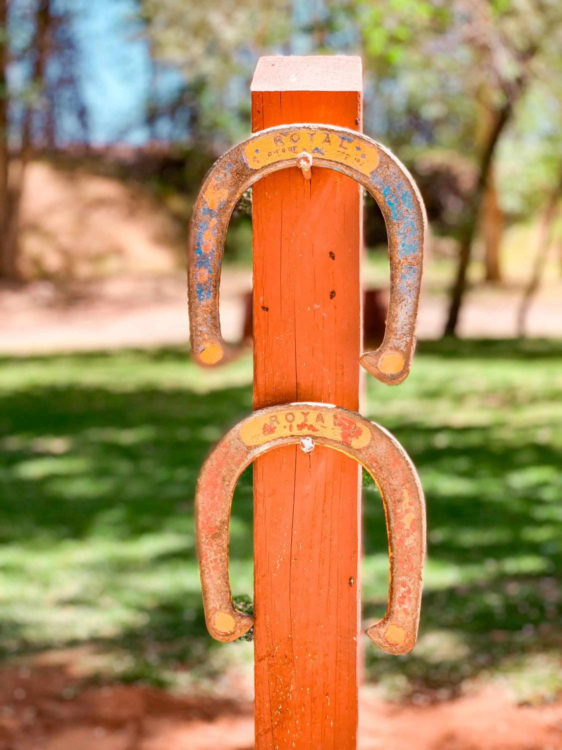 Sports in Sun Outdoors Moab Downtown