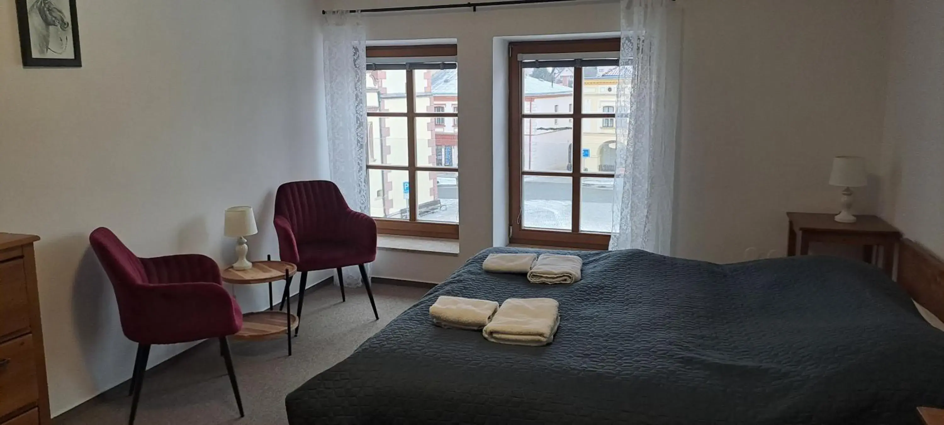 Superior Double Room - single occupancy in Penzion Adler Superior Double Room - single occupancy in Penzion Adler