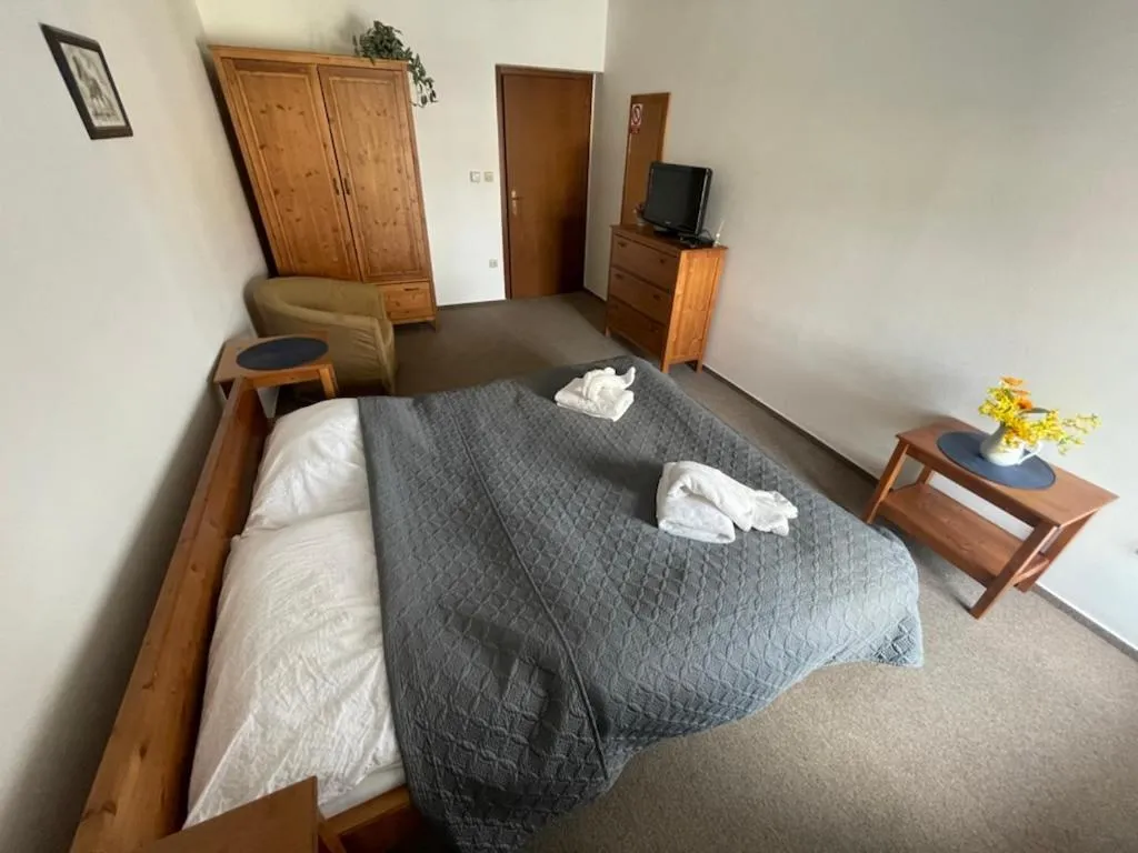 Standard Double Room - single occupancy in Penzion Adler