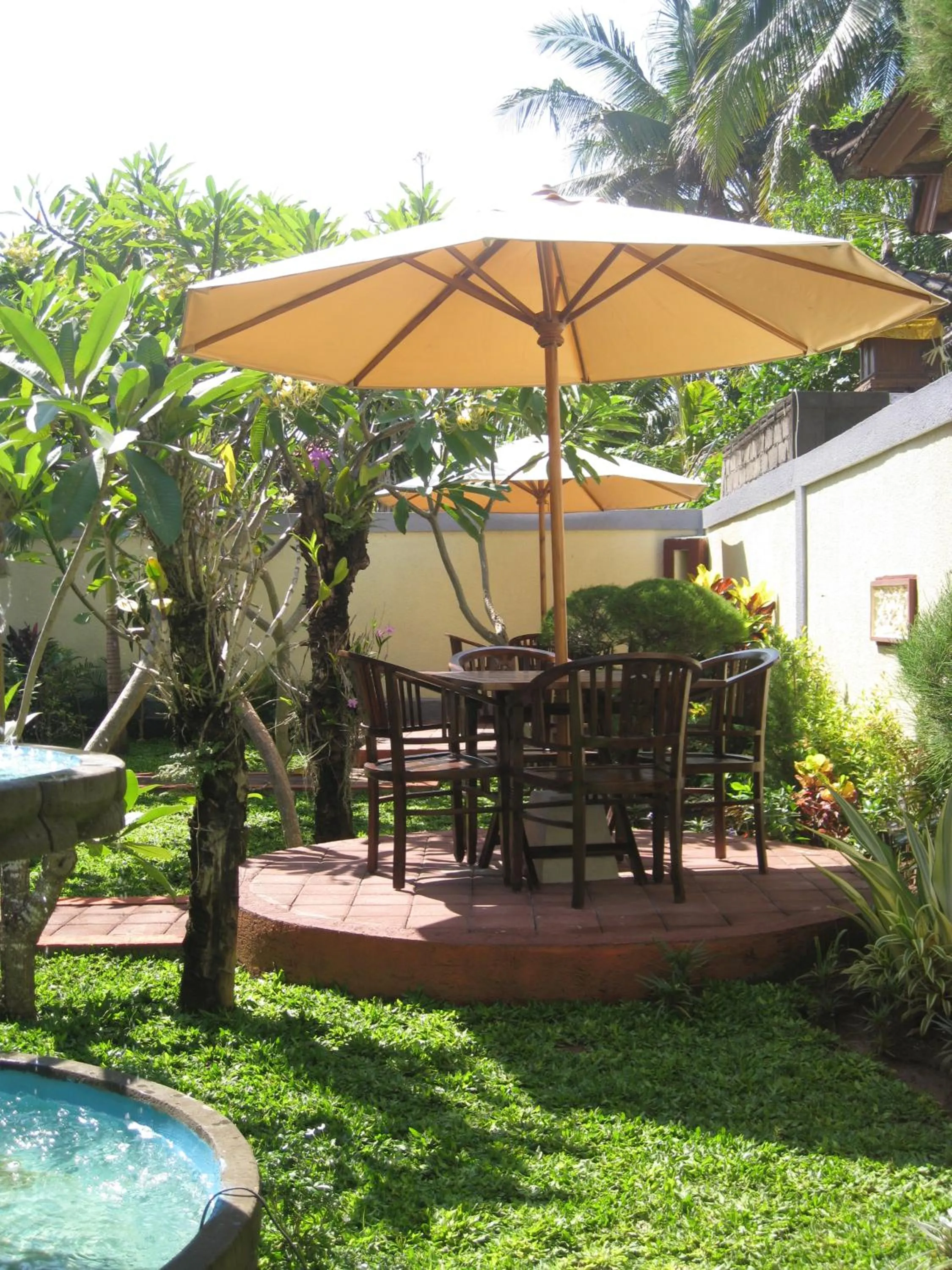 Garden in Frangipani Homestay