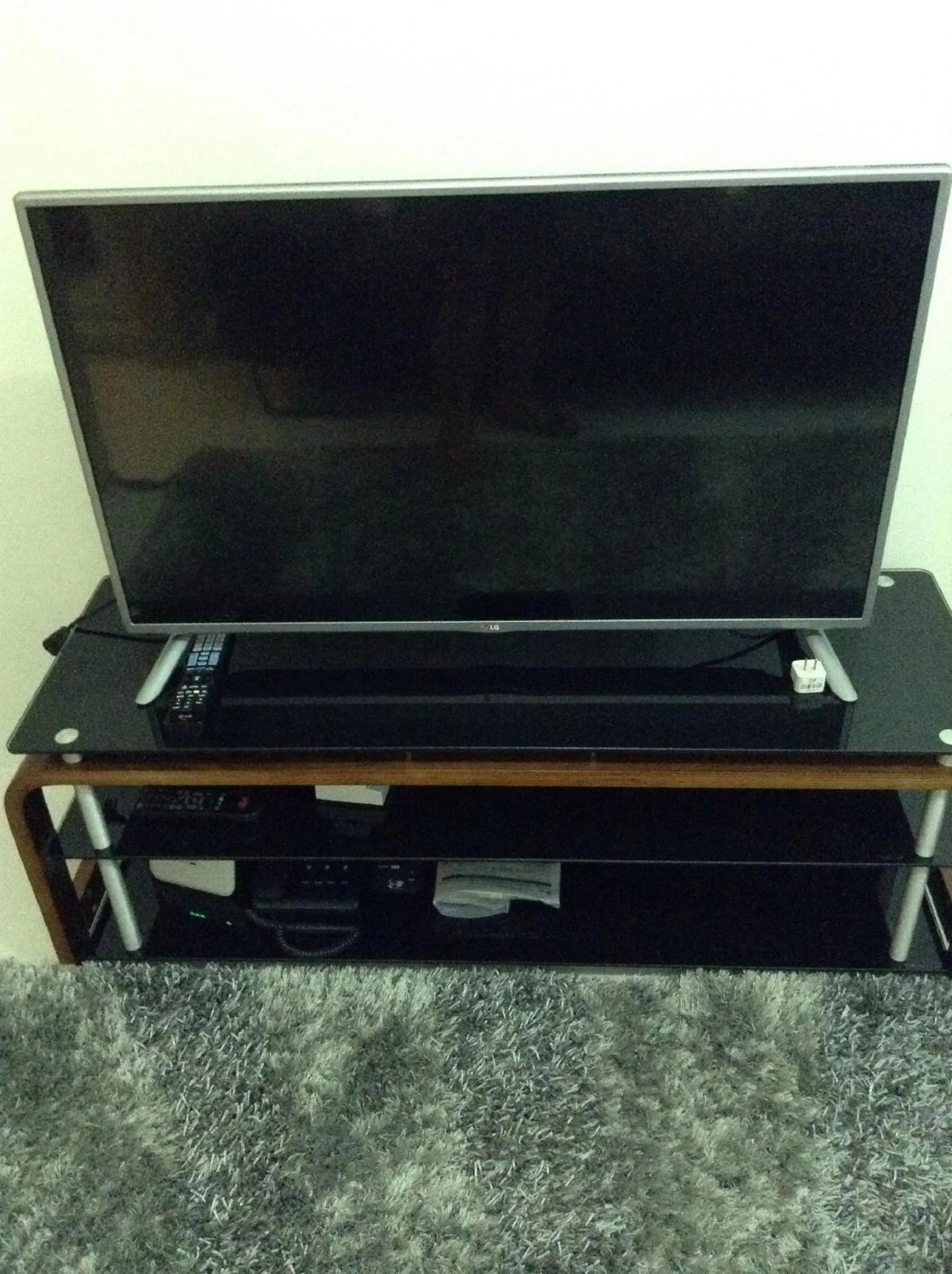 TV and multimedia in Blowing in the Wind - Lake View Apartments