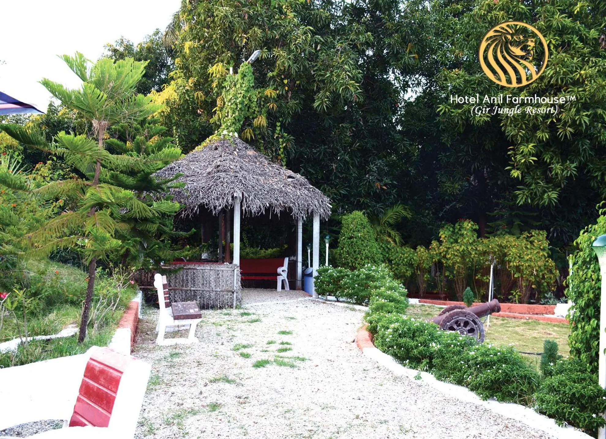 Natural landscape in Anil Farms Gir Jungle Resort