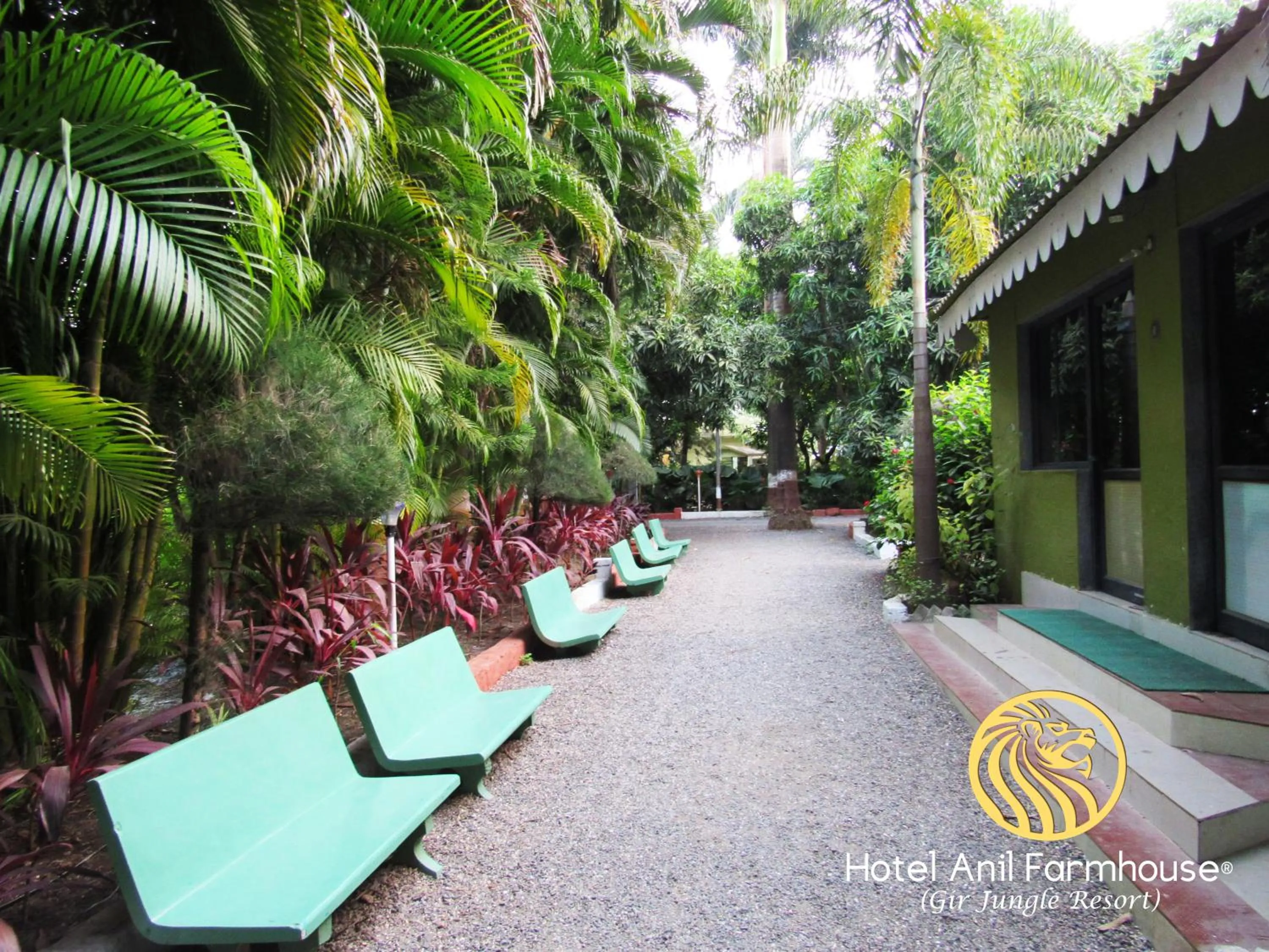 Natural landscape in Anil Farms Gir Jungle Resort