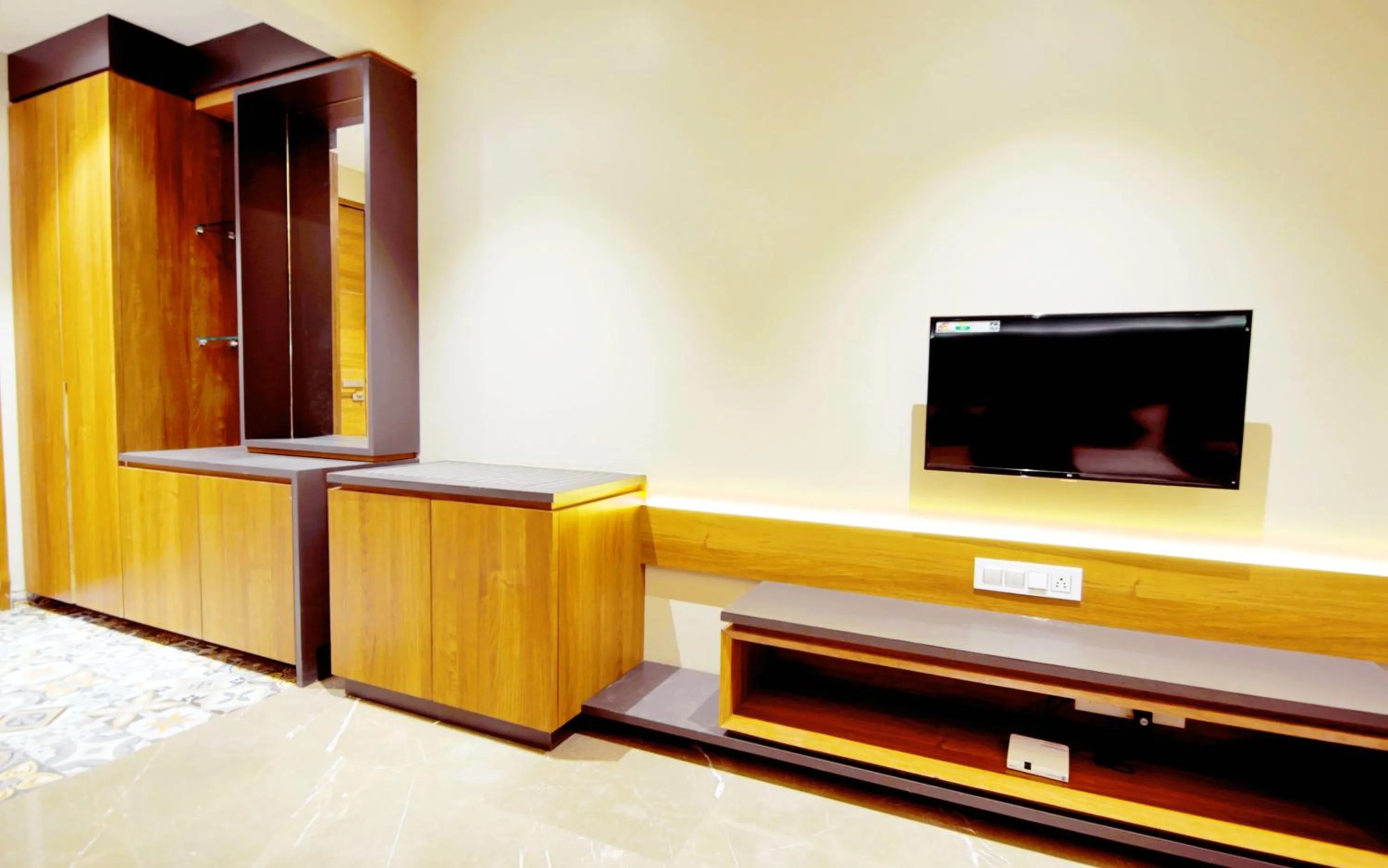 TV and multimedia in Anil Farms Gir Jungle Resort