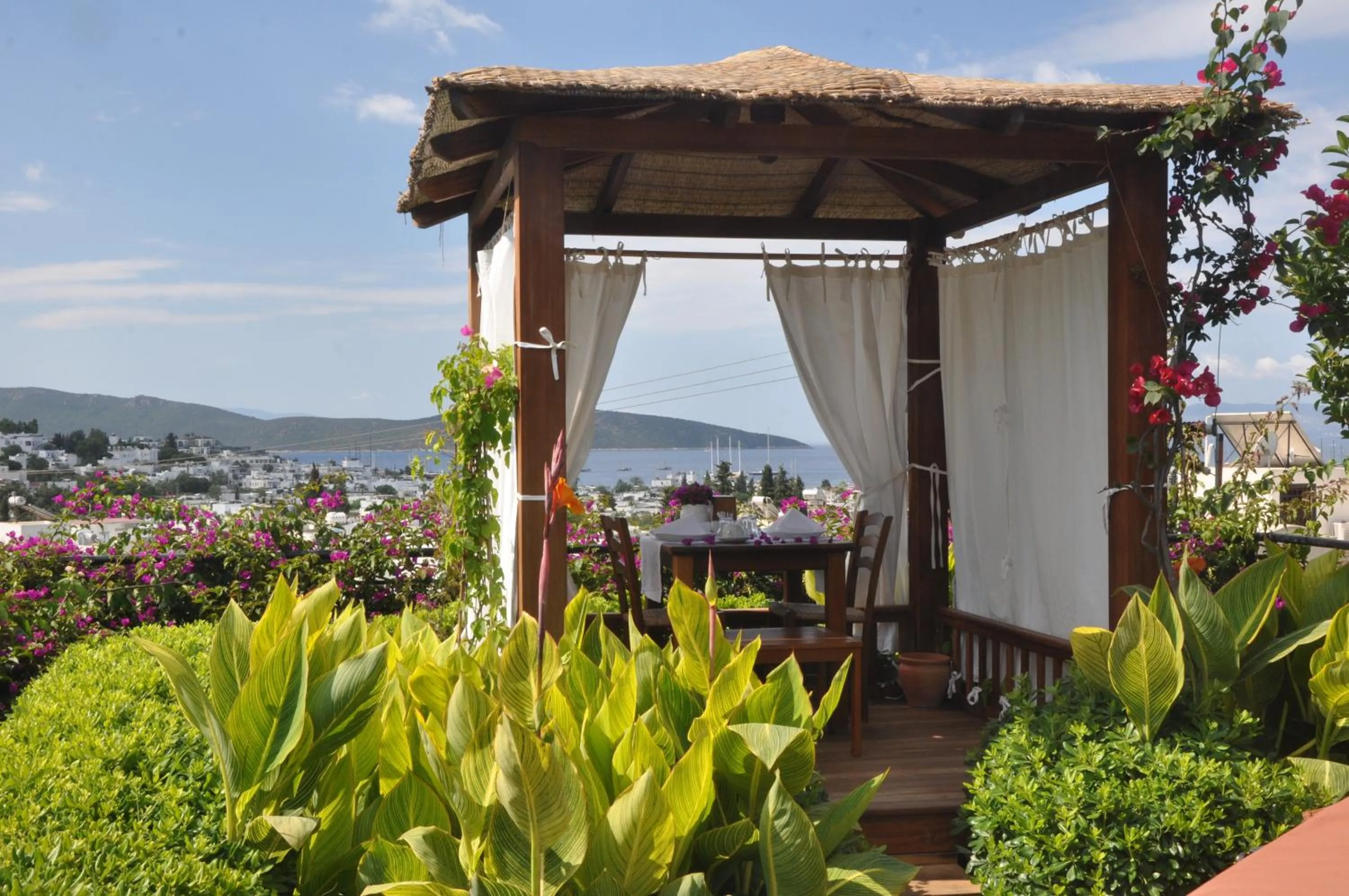 Garden in El Vino Hotel & Suites