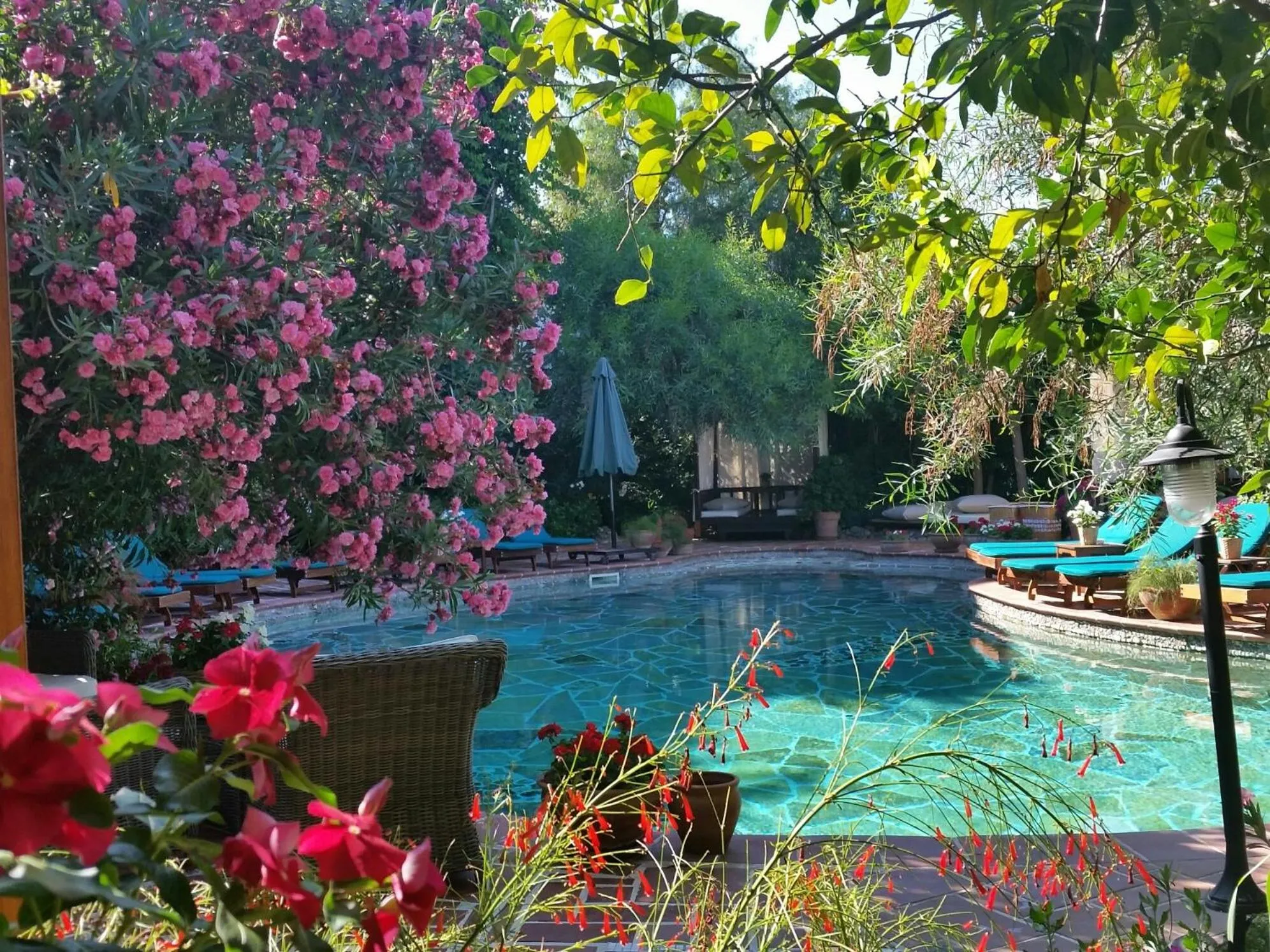 Swimming pool in El Vino Hotel & Suites