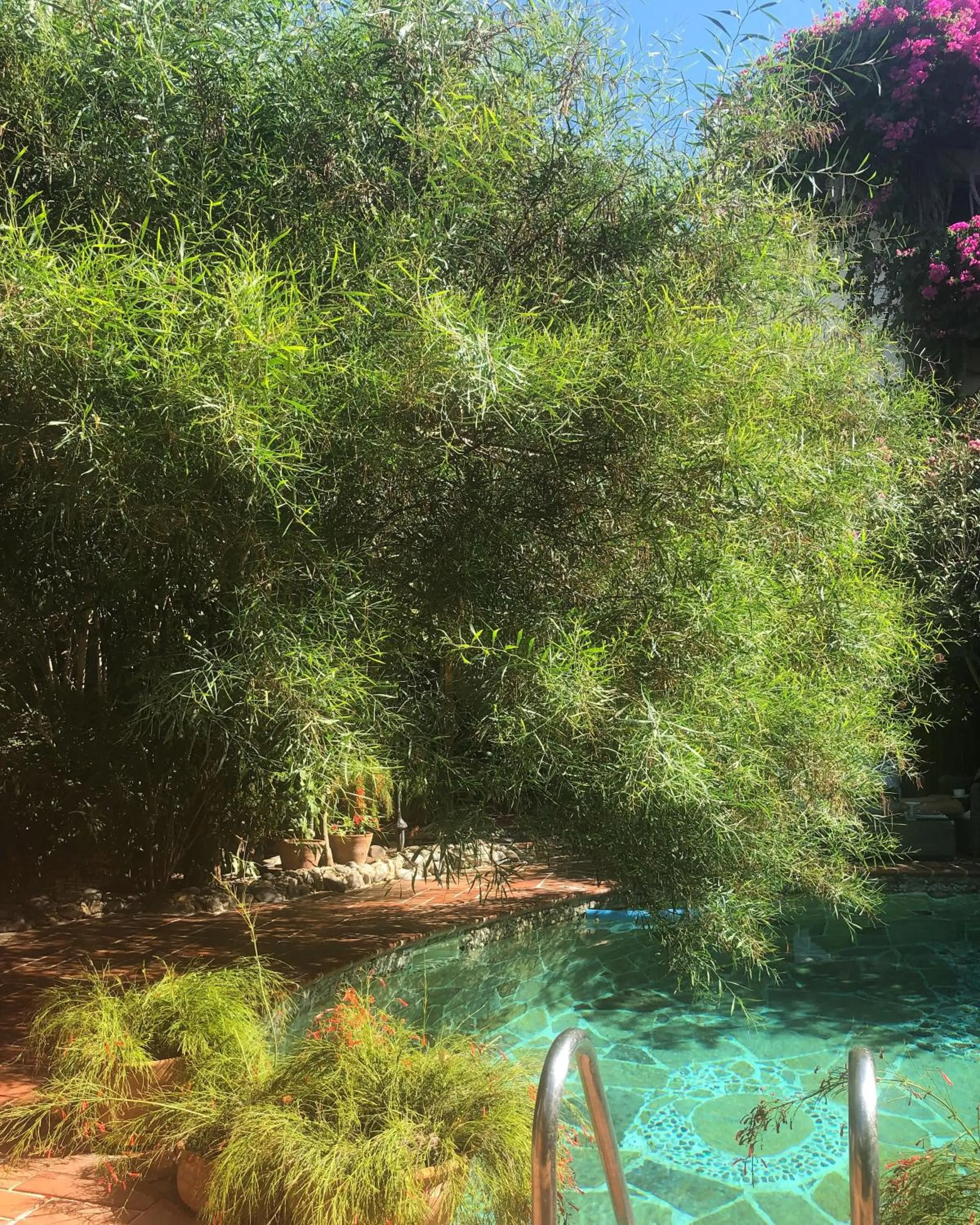 El Vino Hotel & Suites