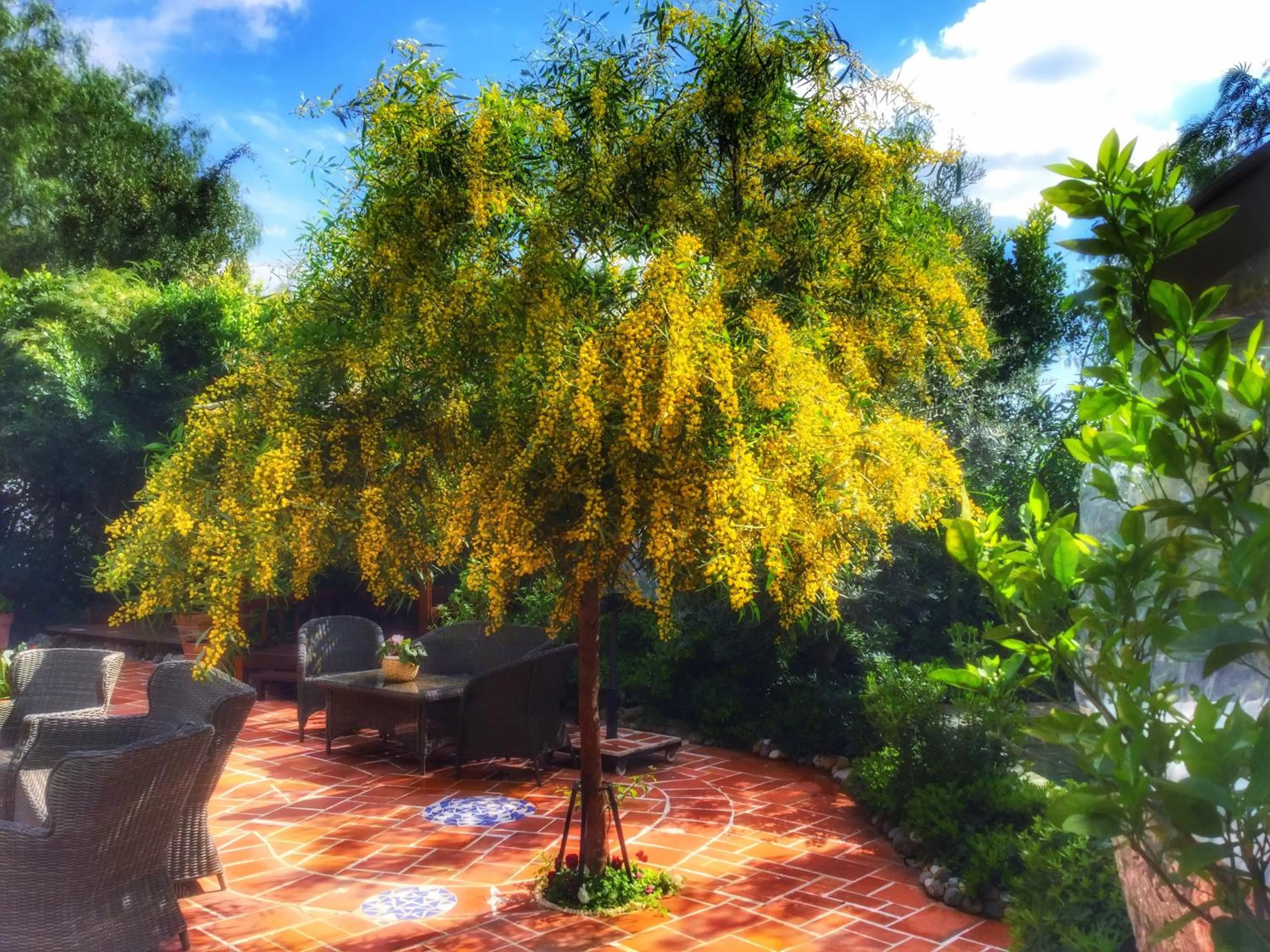 Patio in El Vino Hotel & Suites