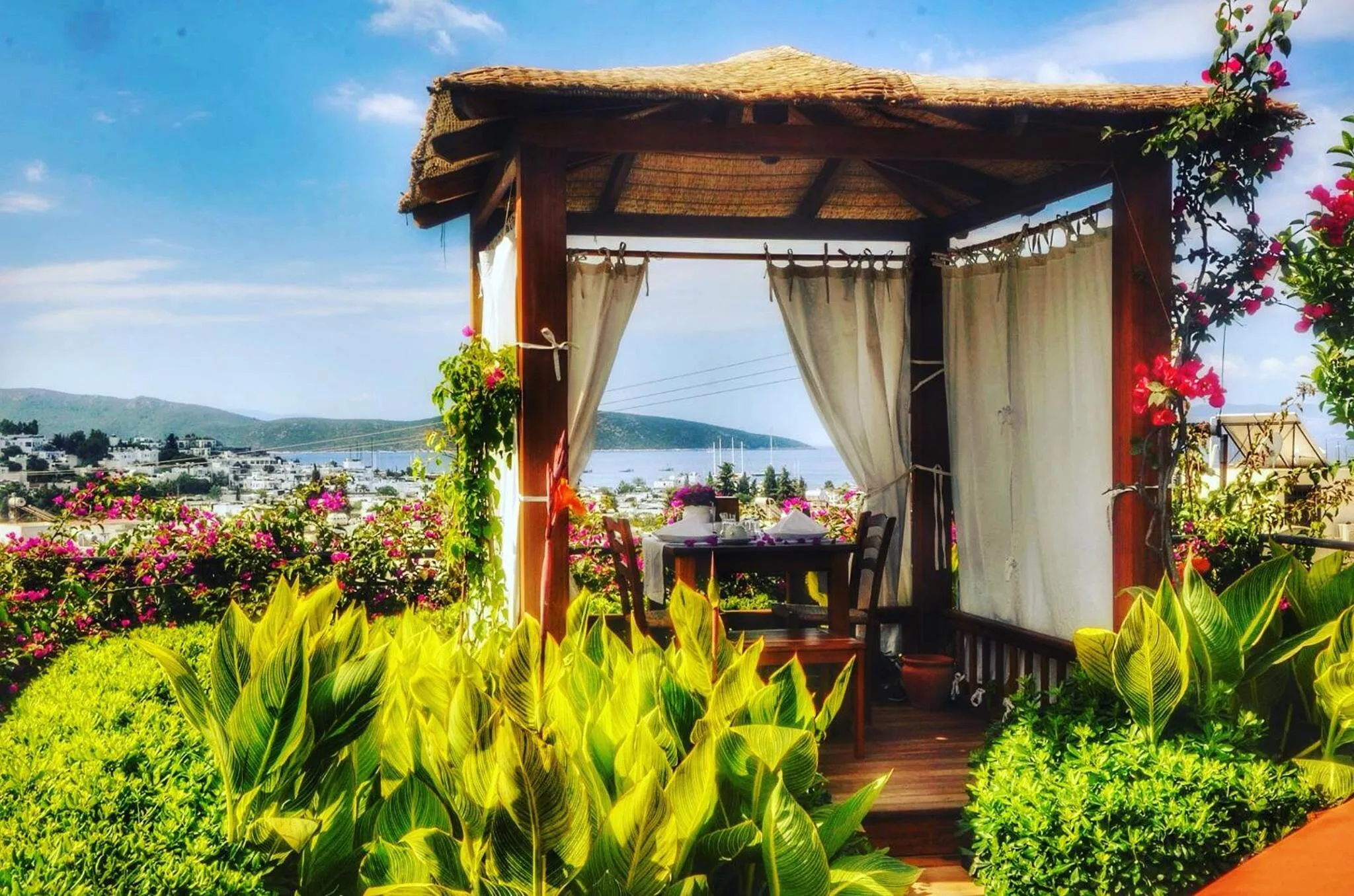 Patio in El Vino Hotel & Suites