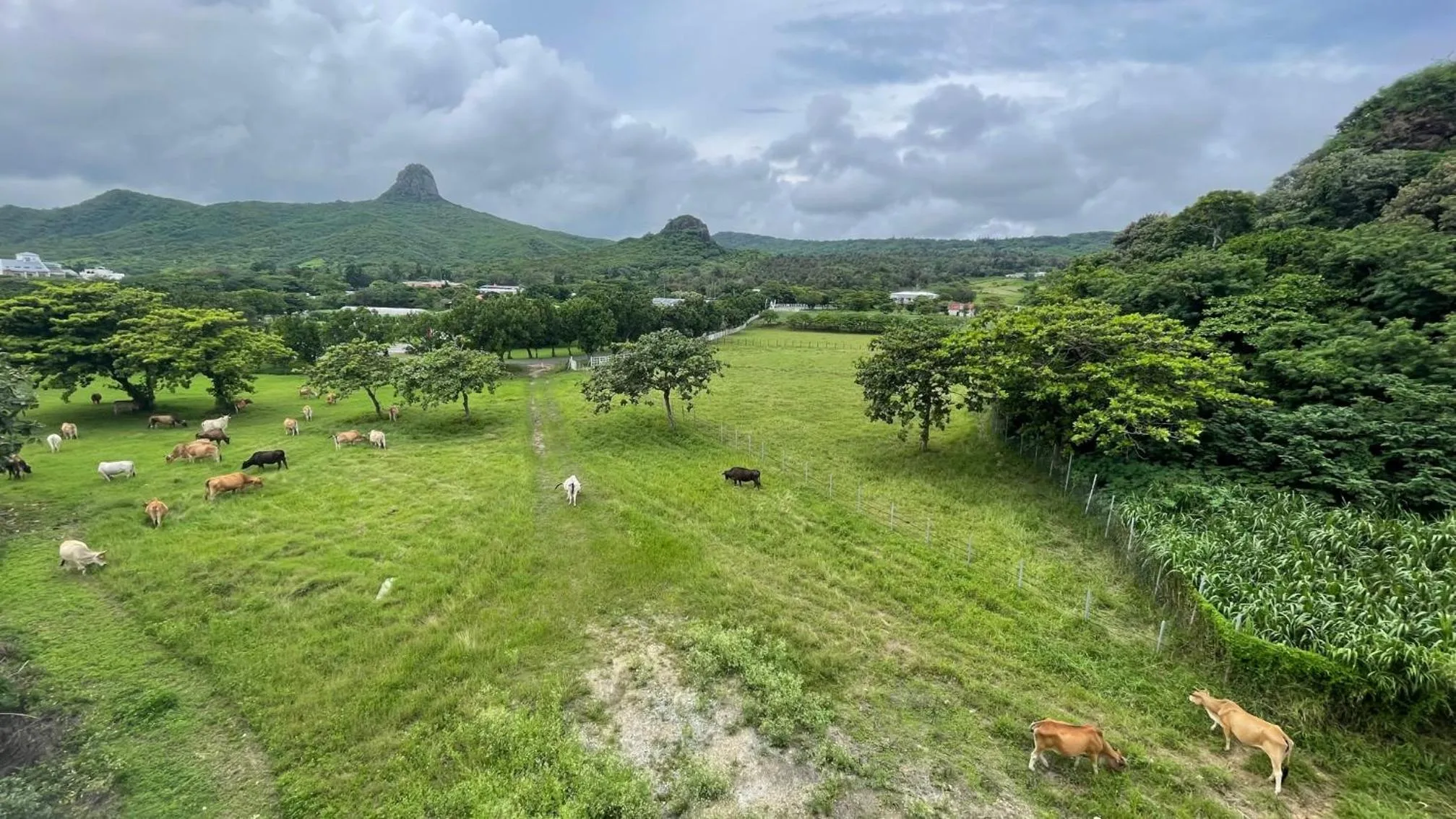 Natural landscape in 海的墾丁旅店 Ocean KT Inn