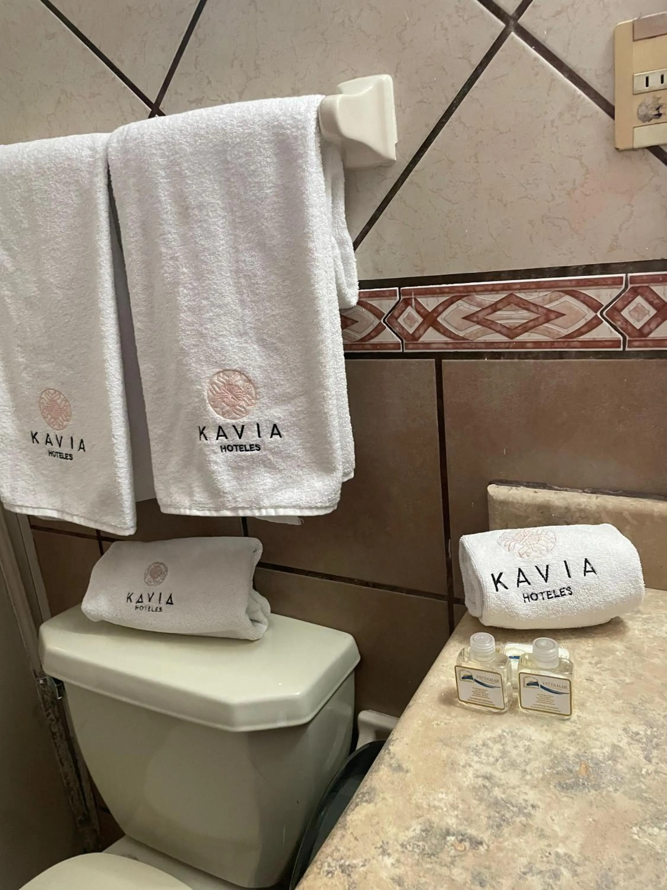 Toilet in Hotel Vistamar