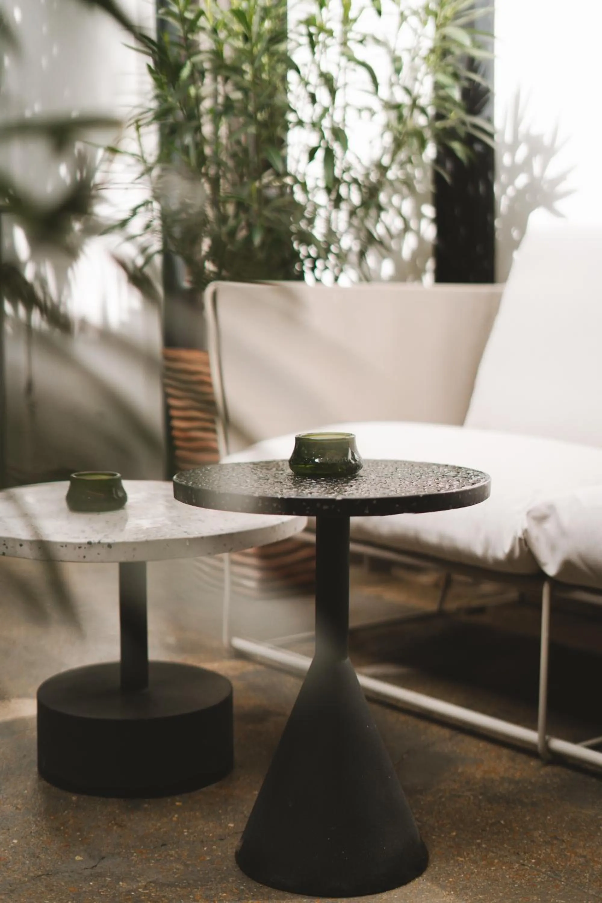 Garden in Hôtel des Beaux Arts