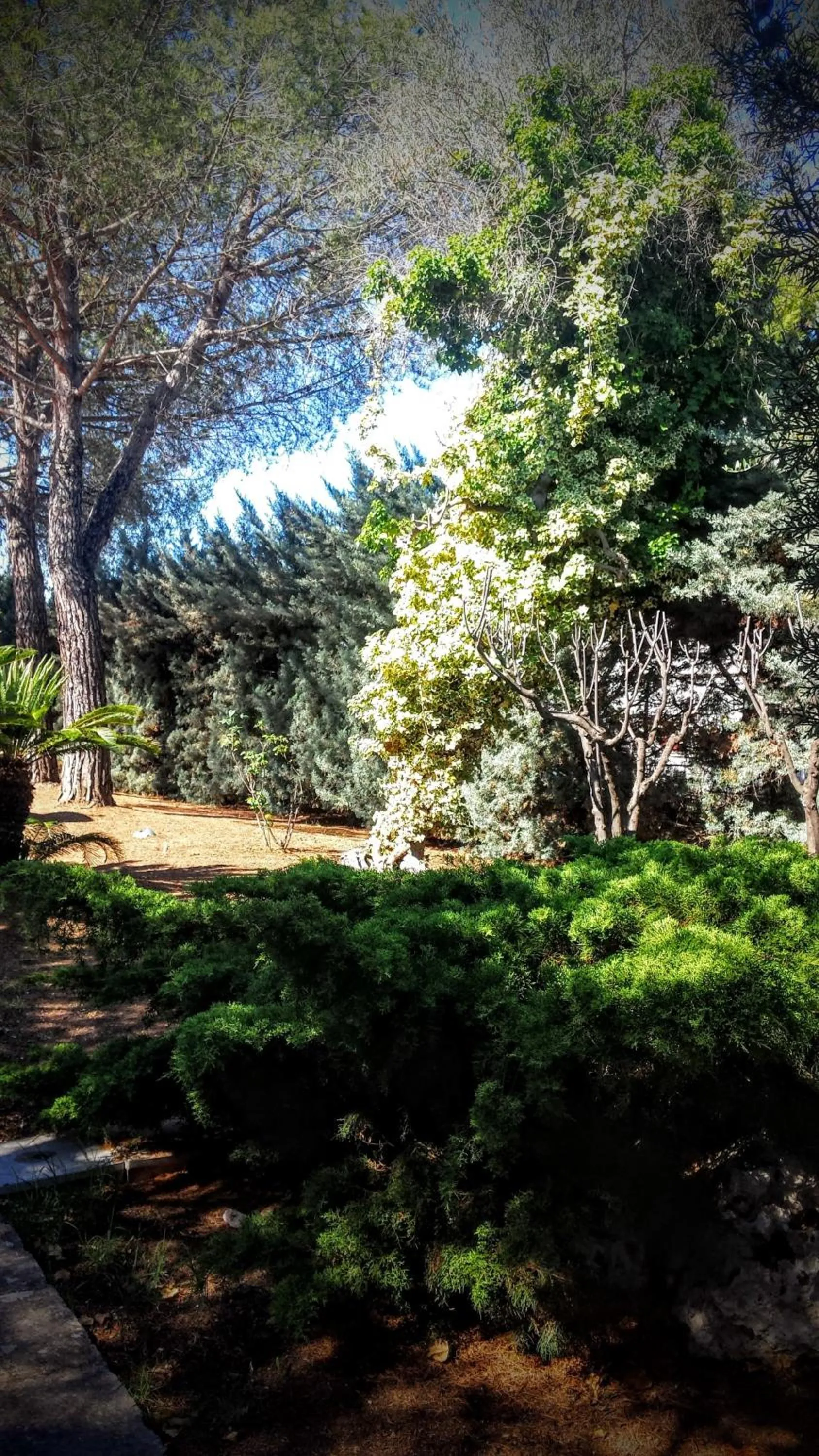 Garden in Bed and Breakfast La Villa AMBIENTI SANIFICATI CON GENERATORE DI OZONO