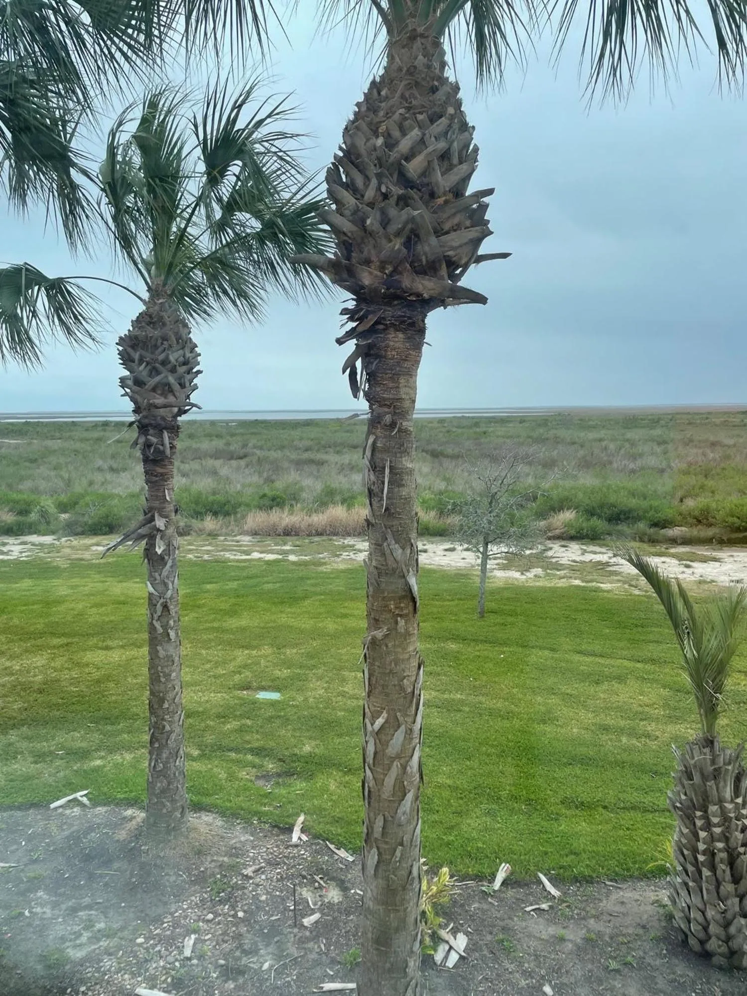 View (from property/room) in Harborwalk Lodge