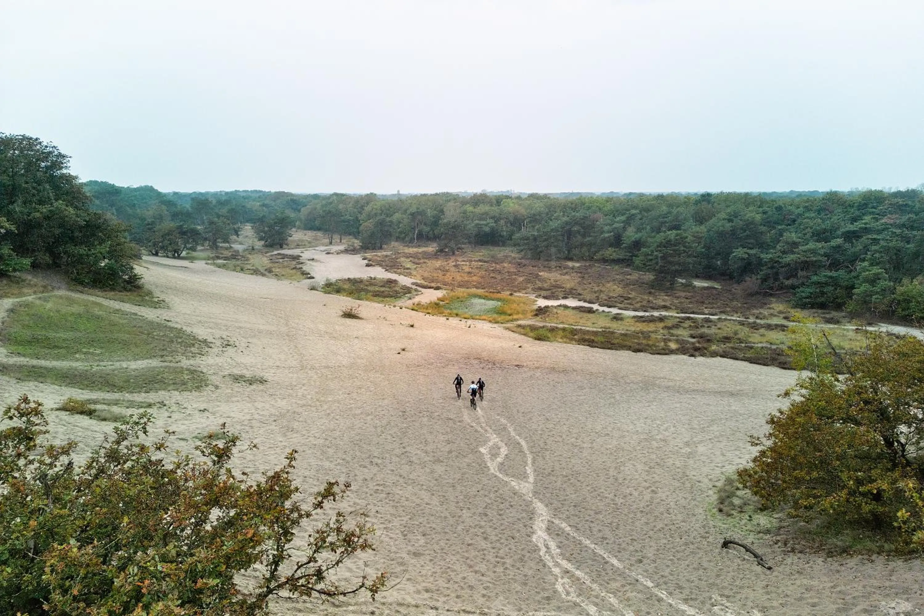 Activities in Sandberghe - Een plek om te verdwalen
