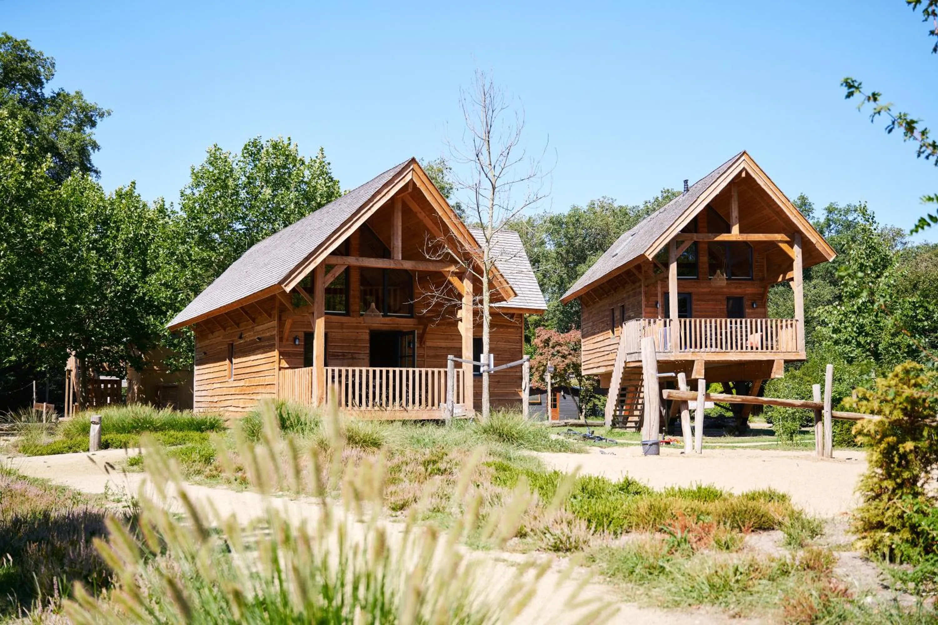 Natural landscape in Sandberghe - Een plek om te verdwalen