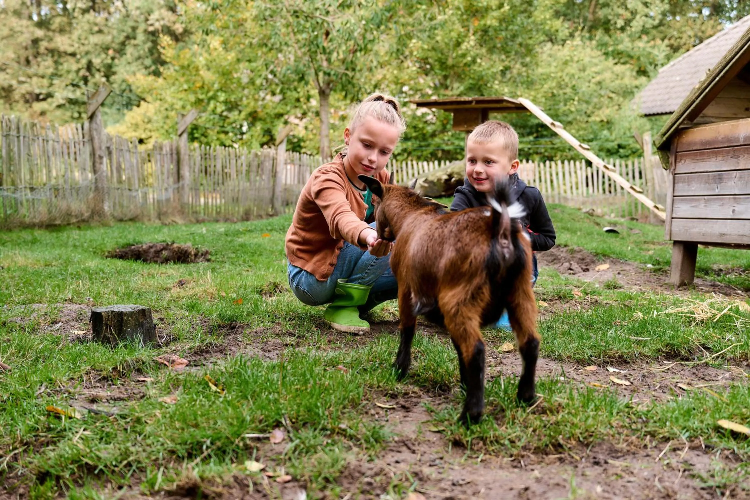 Activities in Sandberghe - Een plek om te verdwalen