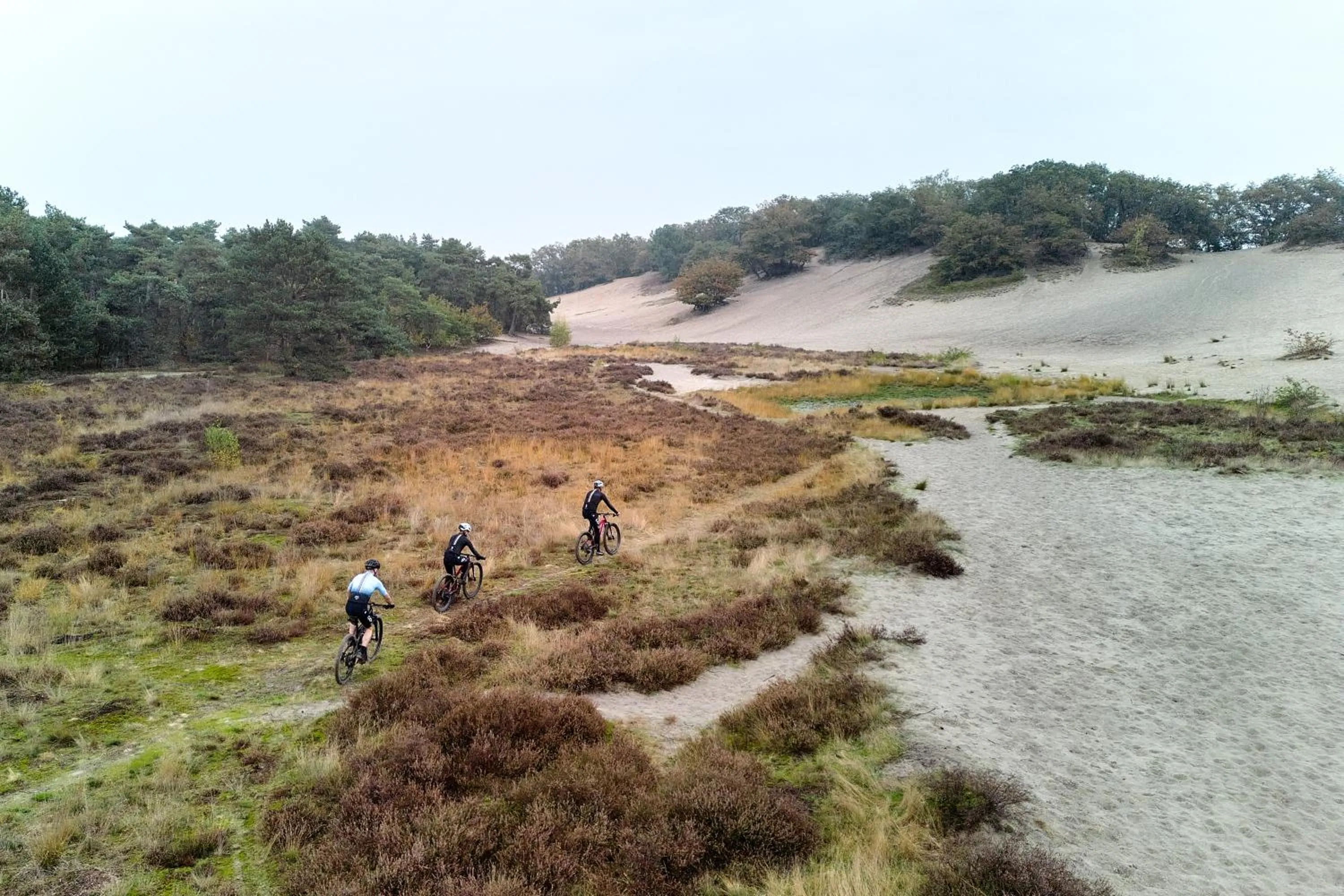 Activities in Sandberghe - Een plek om te verdwalen