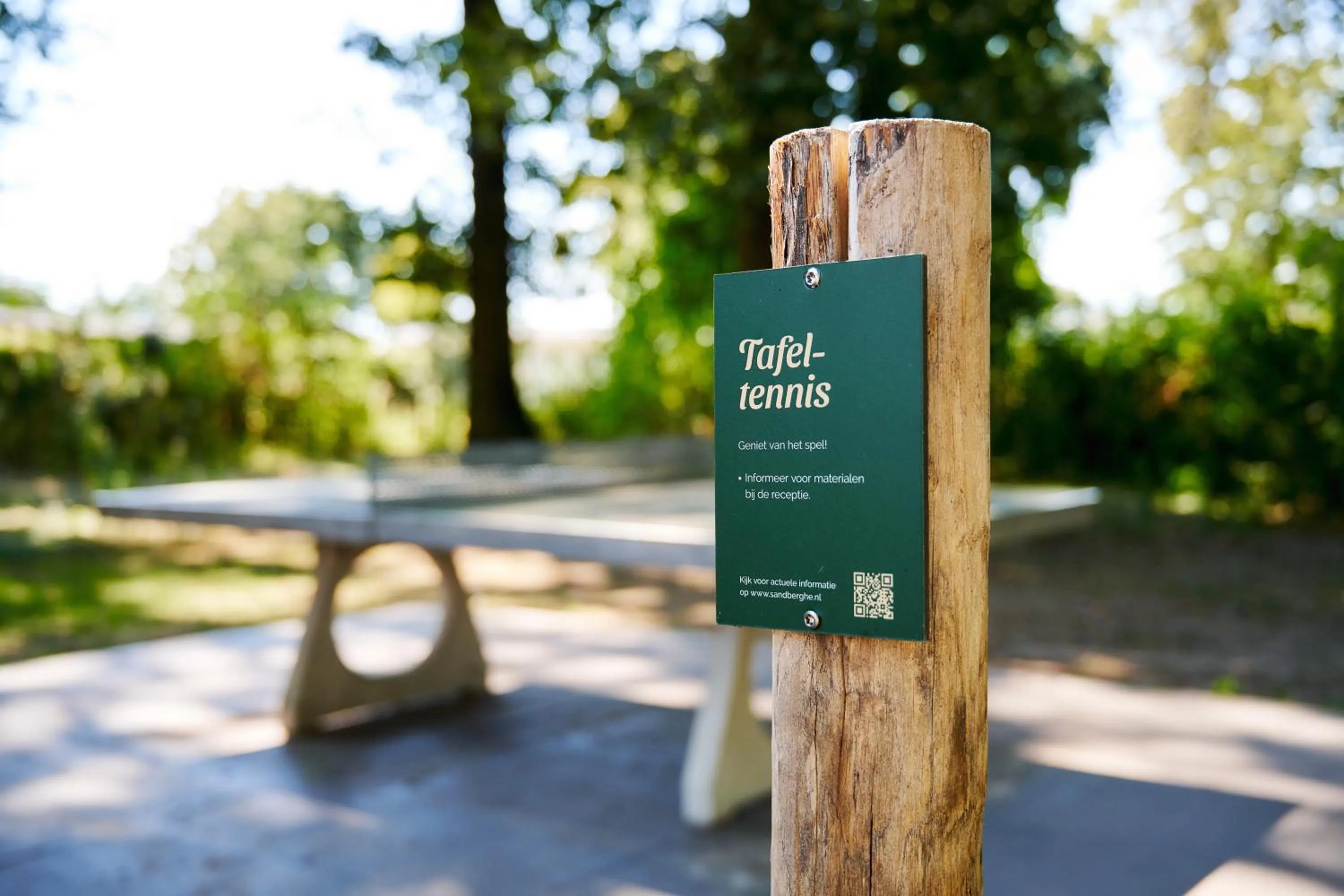 Table tennis in Sandberghe - Een plek om te verdwalen