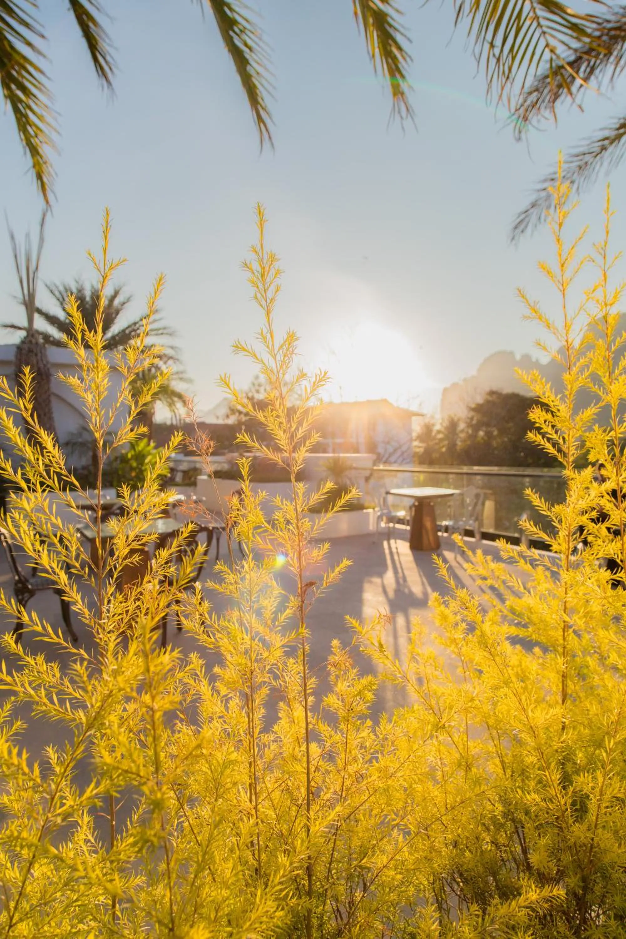 Sunrise Mountain View Resort