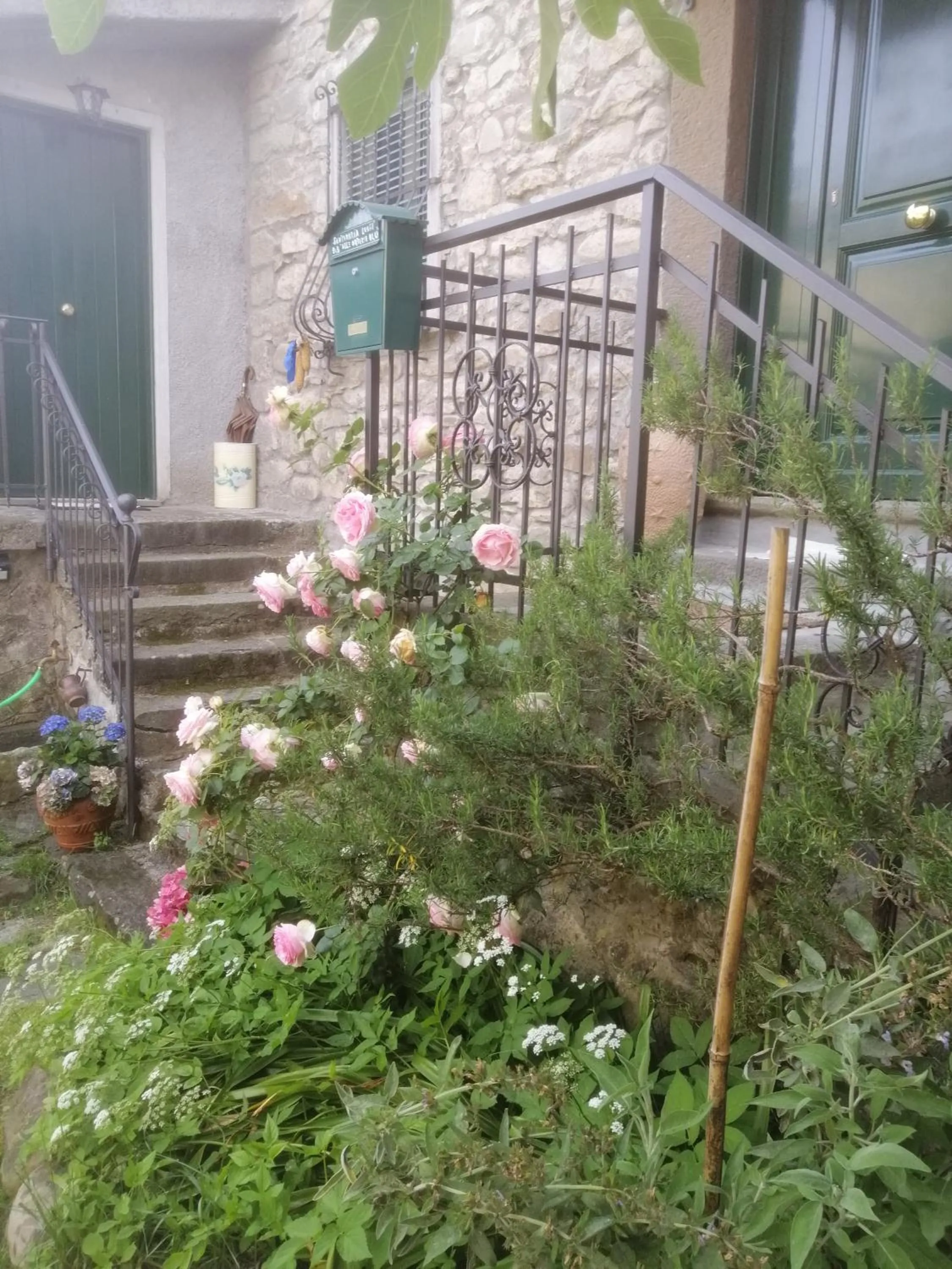 B&B Alle Ortensie Blu