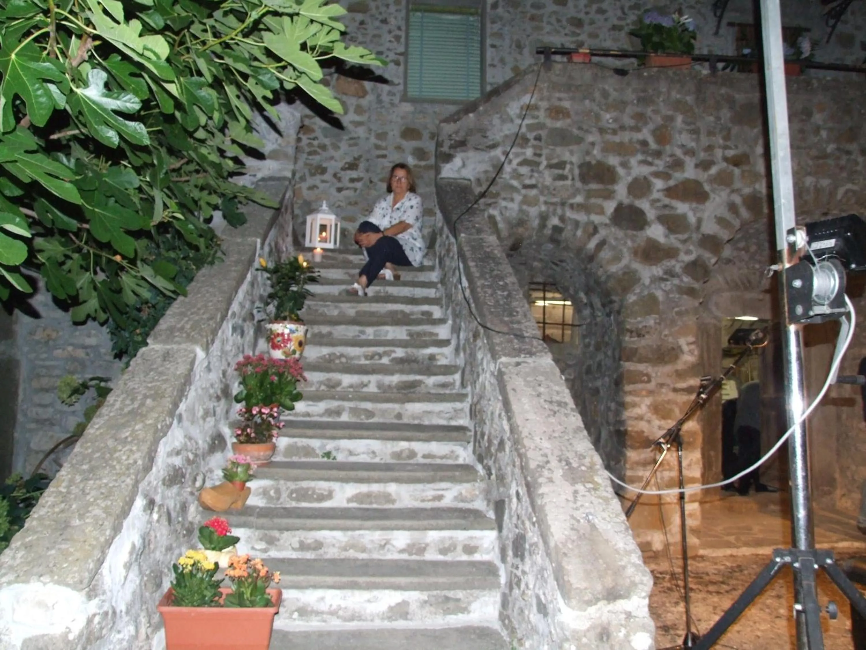 B&B Alle Ortensie Blu