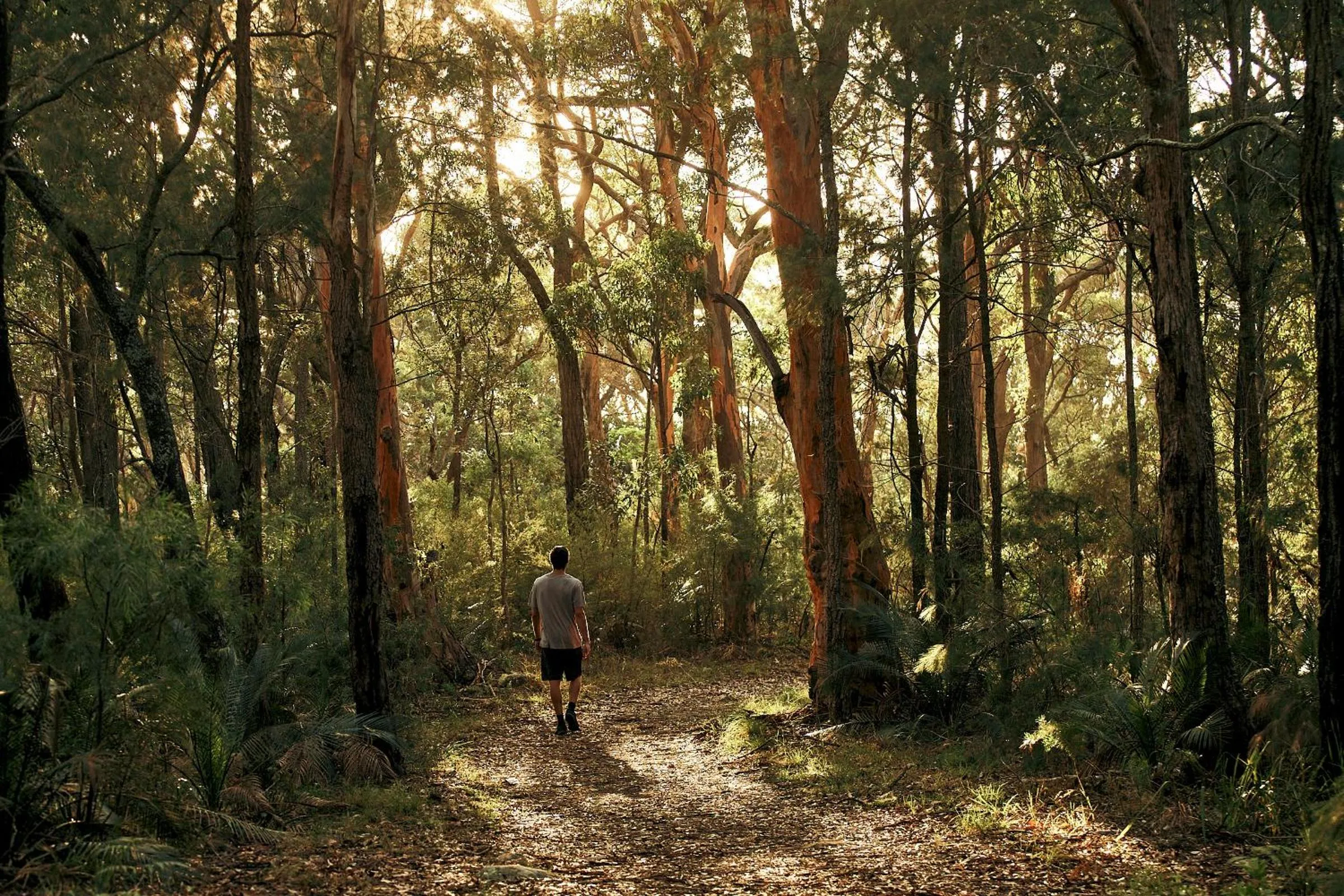 Area and facilities in voco Gosford by IHG